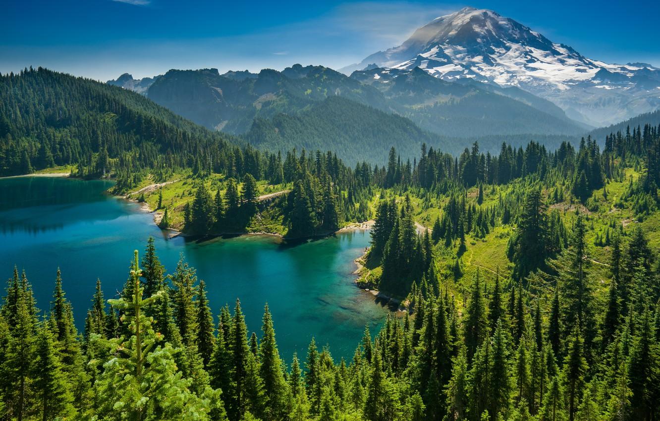 Wallpaper forest, trees, mountains, lake, Mount Rainier