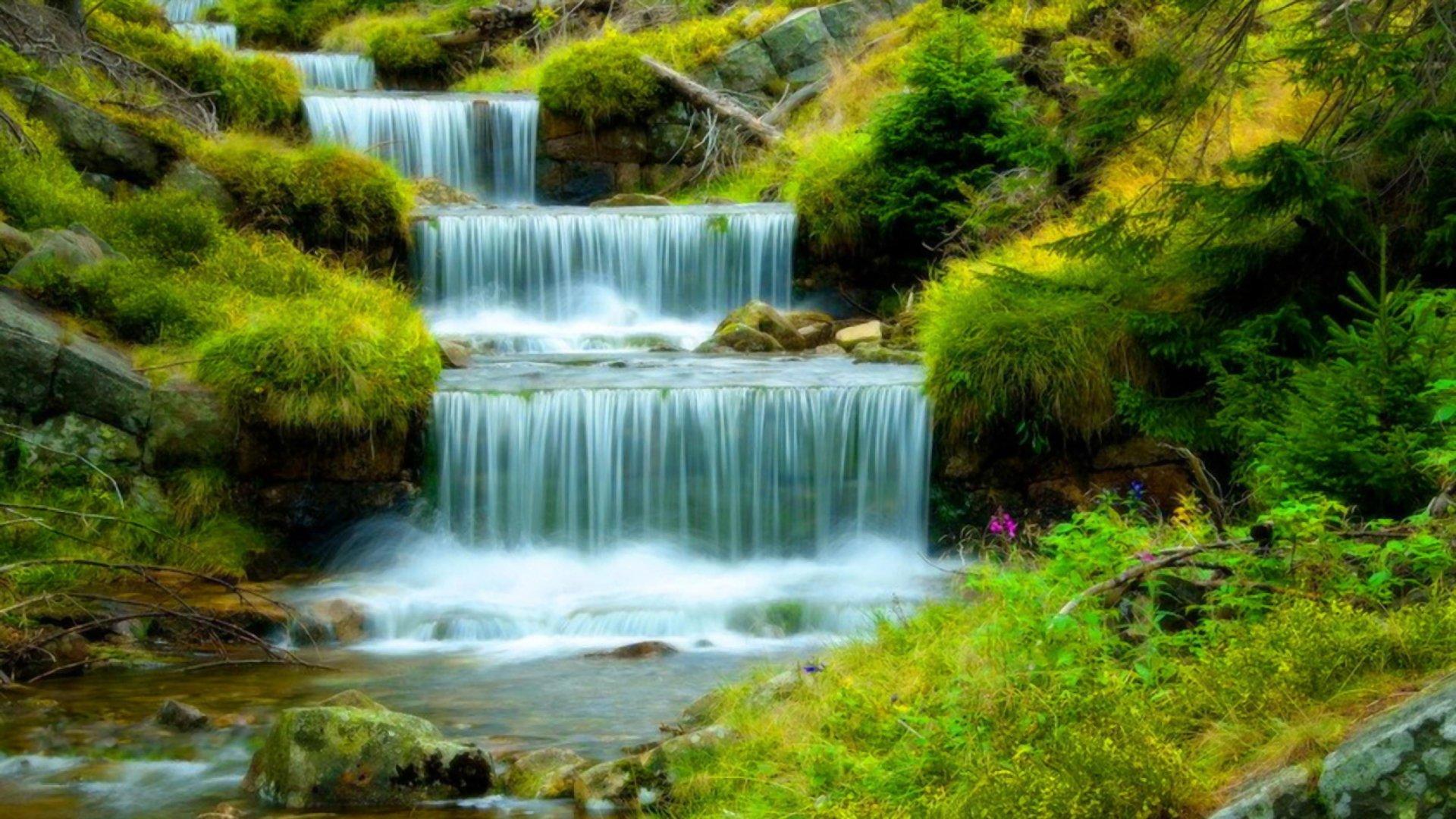 Water Cascades in Green Forest HD Wallpaper. Background