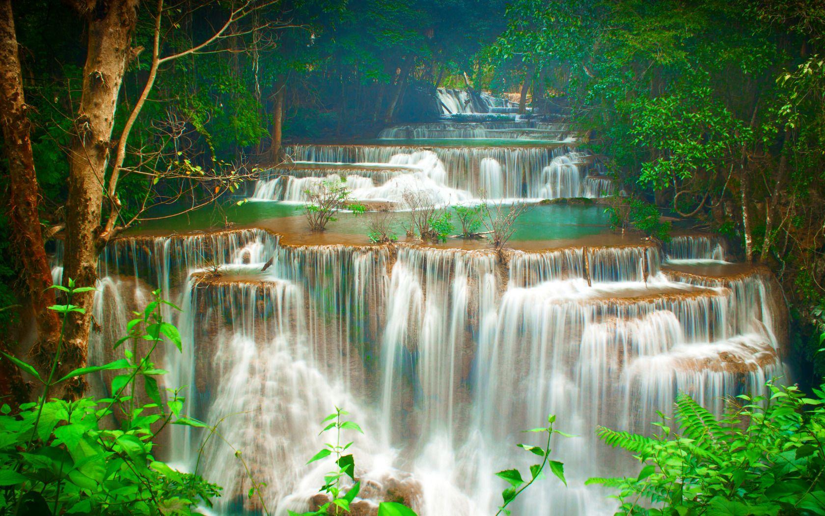 Download wallpaper forest, trees, tropics, stream, waterfall