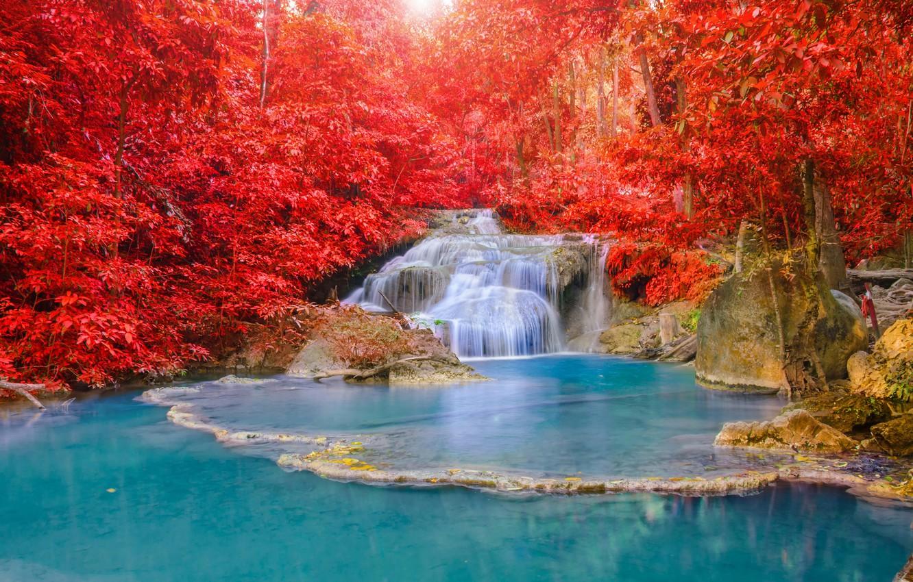 Wallpaper autumn, forest, water, light, nature, river