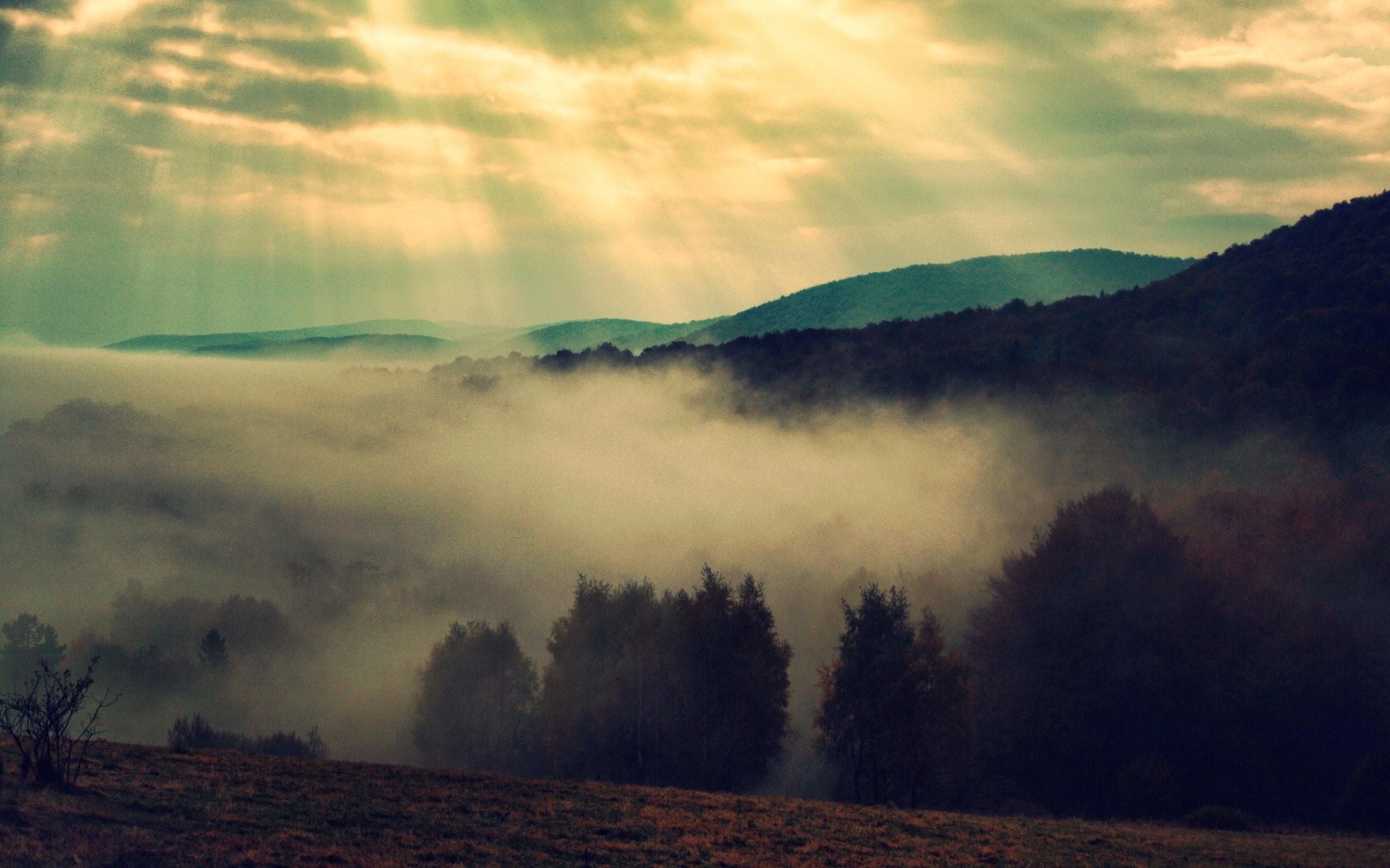 HD Nature Wallpaper, mountains Mist, Trees, Bieszczady, Fog
