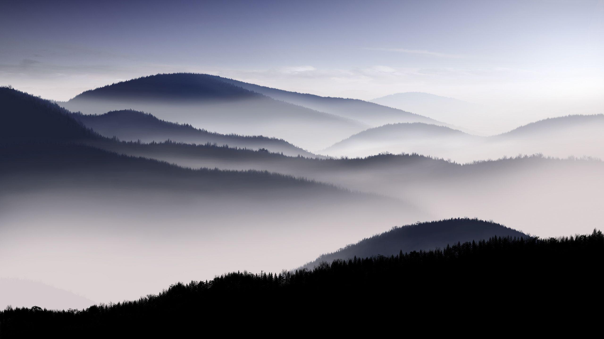 Fog Landscape Wallpaper