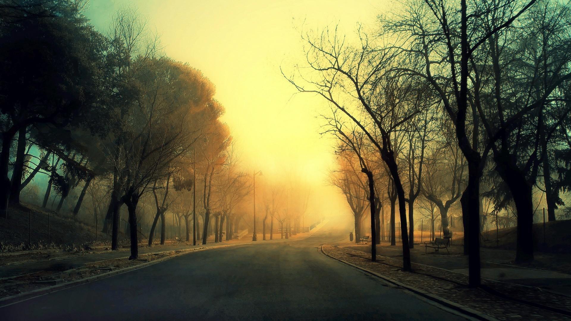 HD Roads, sidewalks, trees, fog, landscape Wallpaper