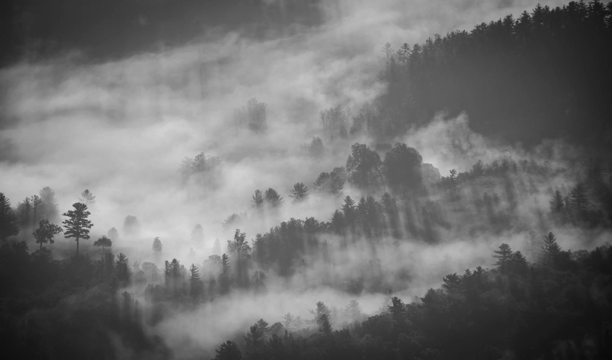 2048x1206 #fog, #smoke, #mist, #morning, #dark