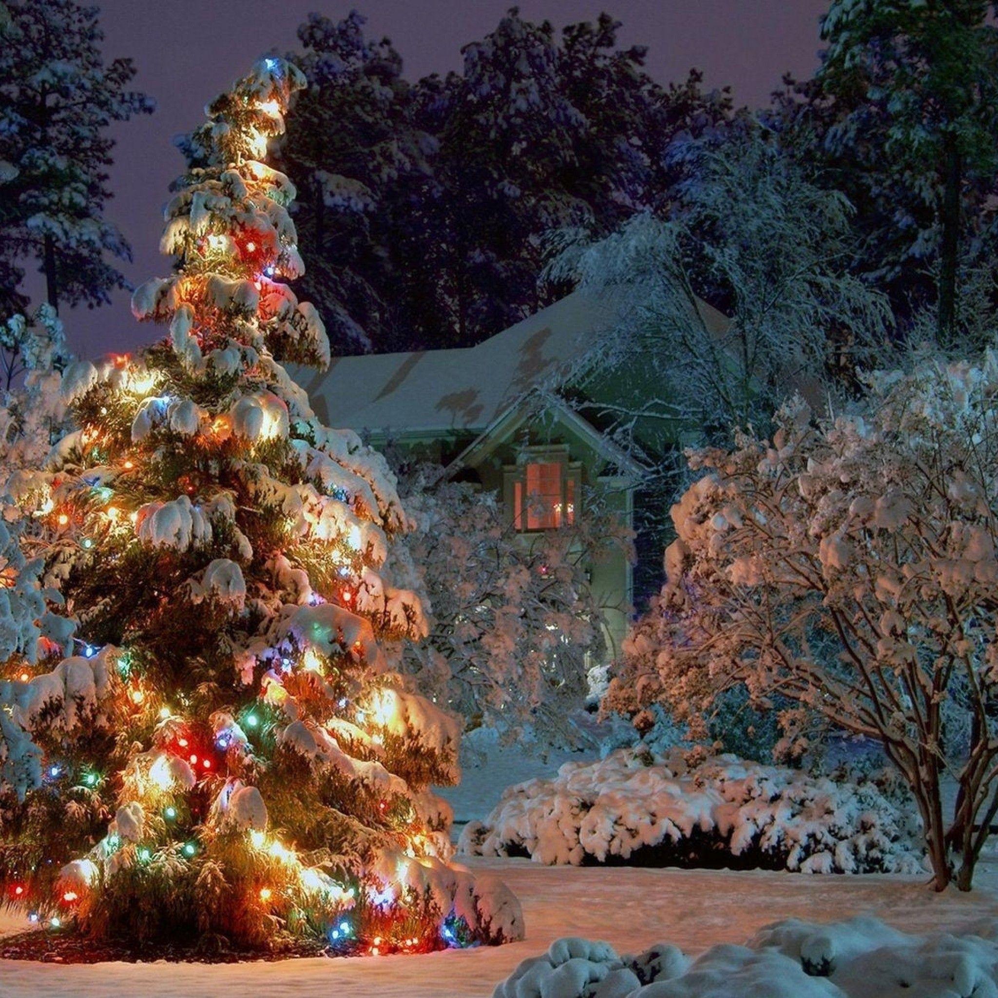 Rustic Christmas Lights Backgrounds ✓ The Decor of Christmas