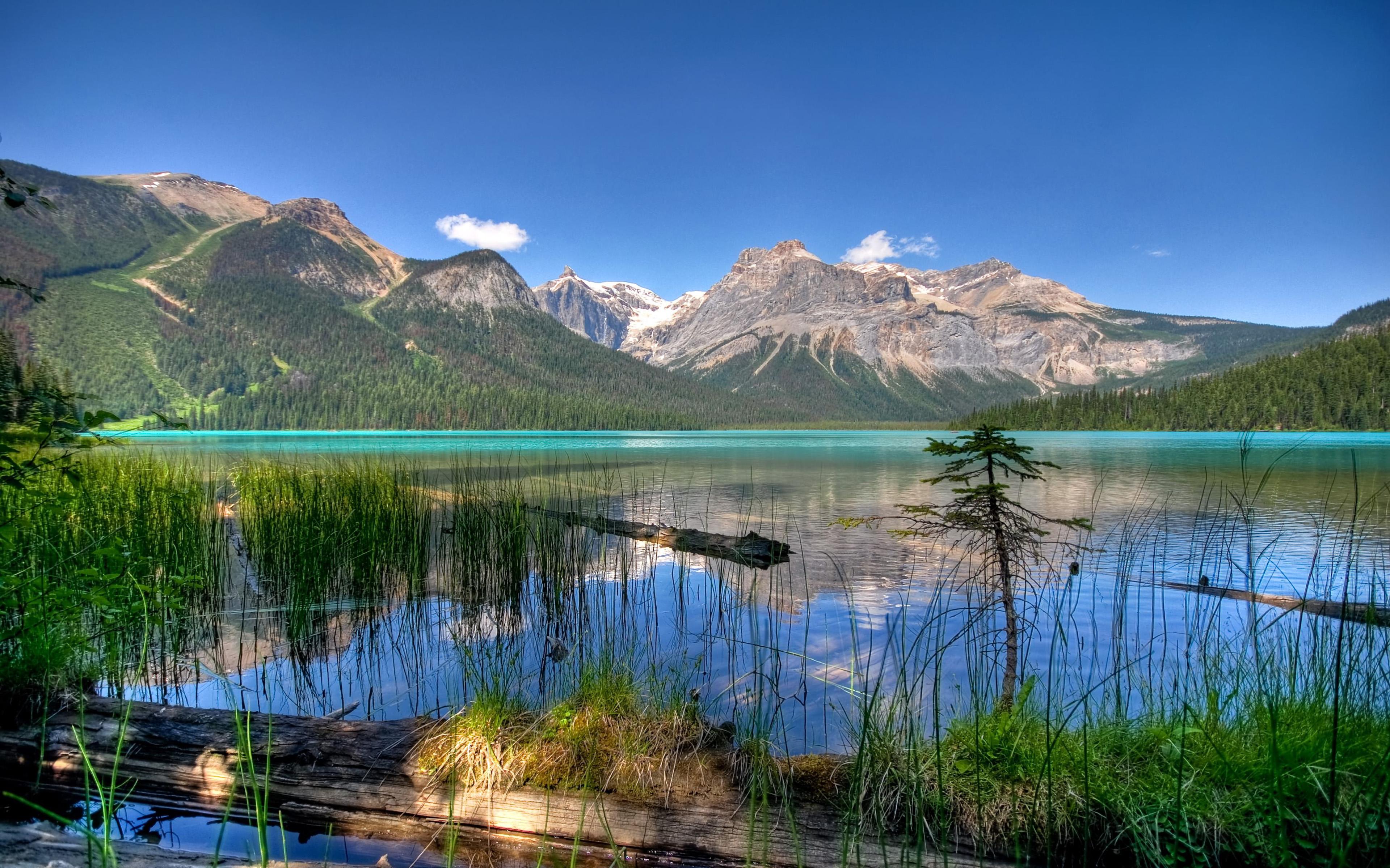 Emerald Lake Colorado Mountain Landscape HD Wallpaper