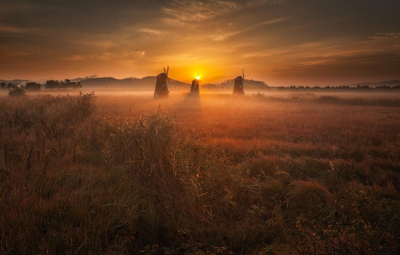 Wallpaper the sun, light, sunset, mill, Netherlands image