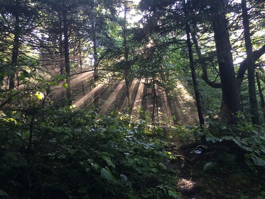 The Appalachian Trail Conservancy By State