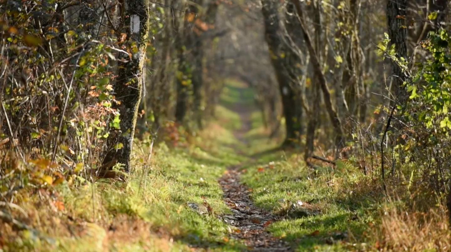 Appalachian Trail Conservancy
