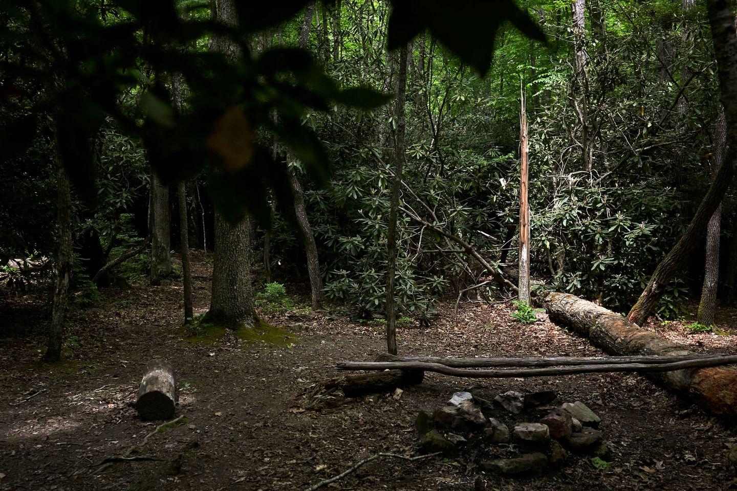 The twisted, fatal journey of the accused Appalachian Trail