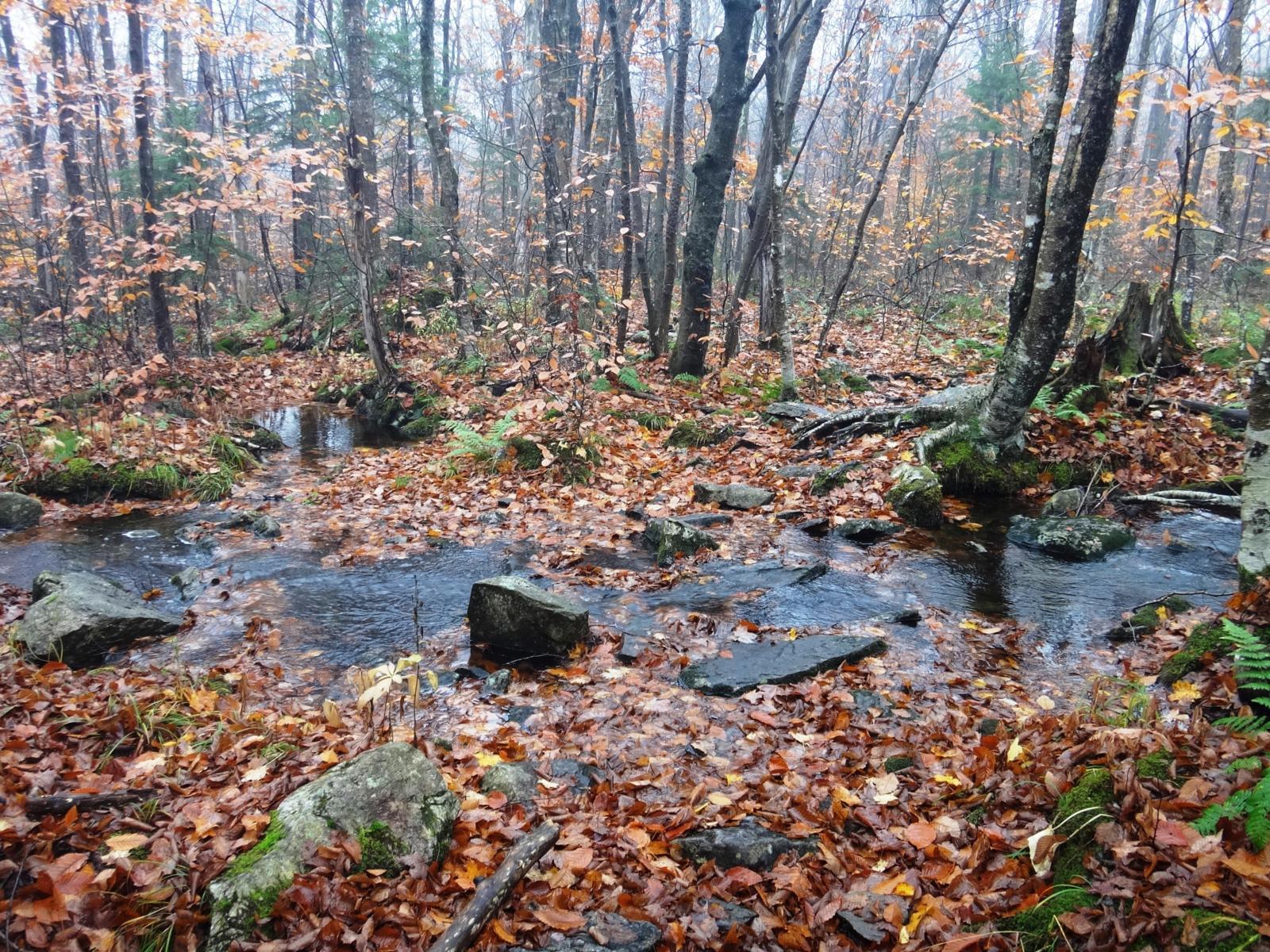 Wikiloc of 136 TRAIL Y LONG TRAIL