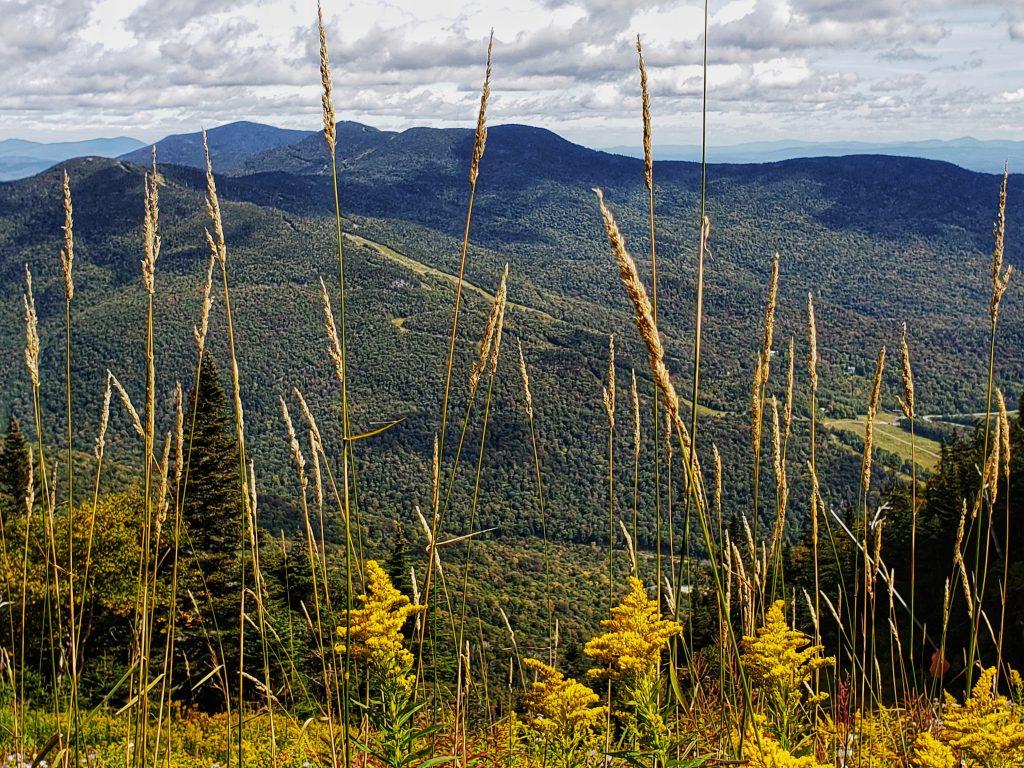 Hiking the Long Trail in Vermont