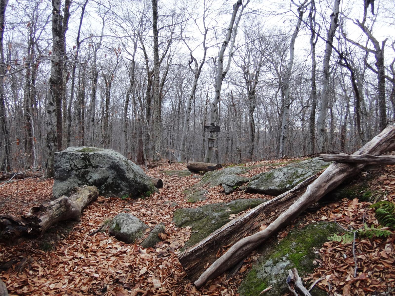 Wikiloc of 135 TRAIL Y LONG TRAIL