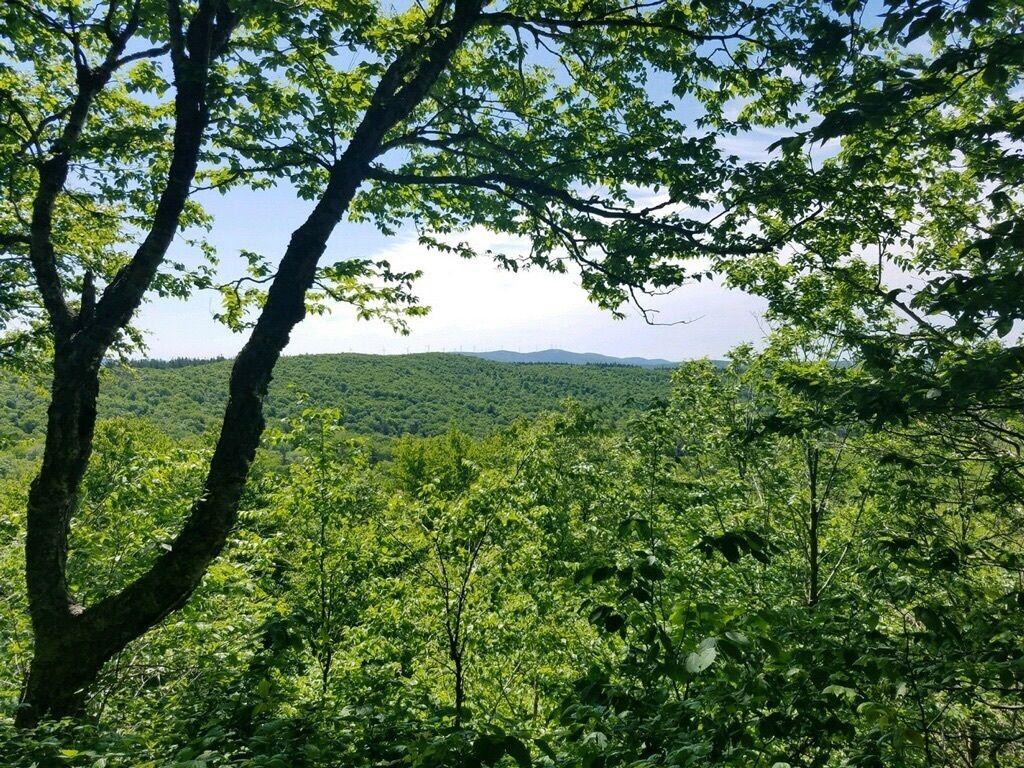 Glastenbury Mountain via Long Trail Appalachian Trail