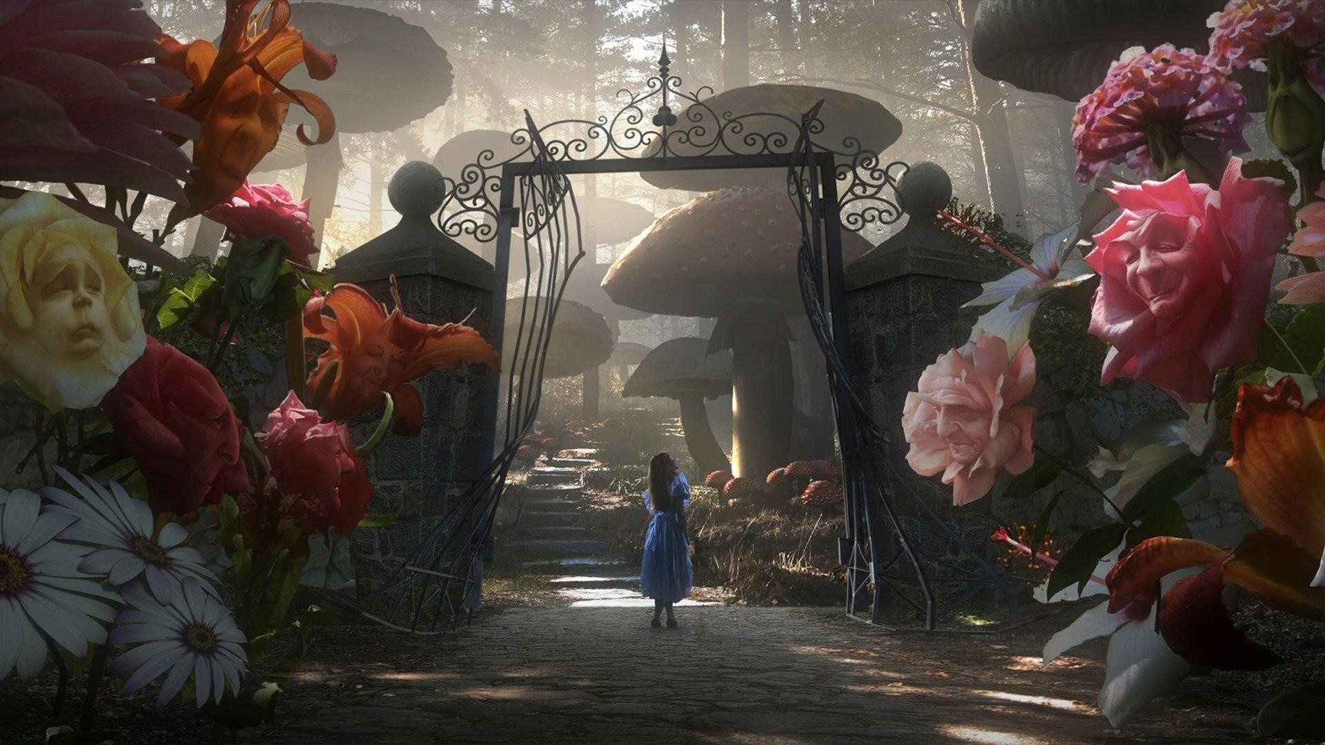 Free Alice In Wonderland Image HD Wallpaper Backgrounds