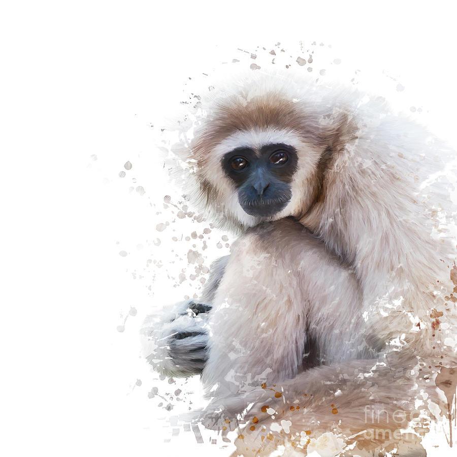 Watercolor Portrait Of White Handed Gibbon