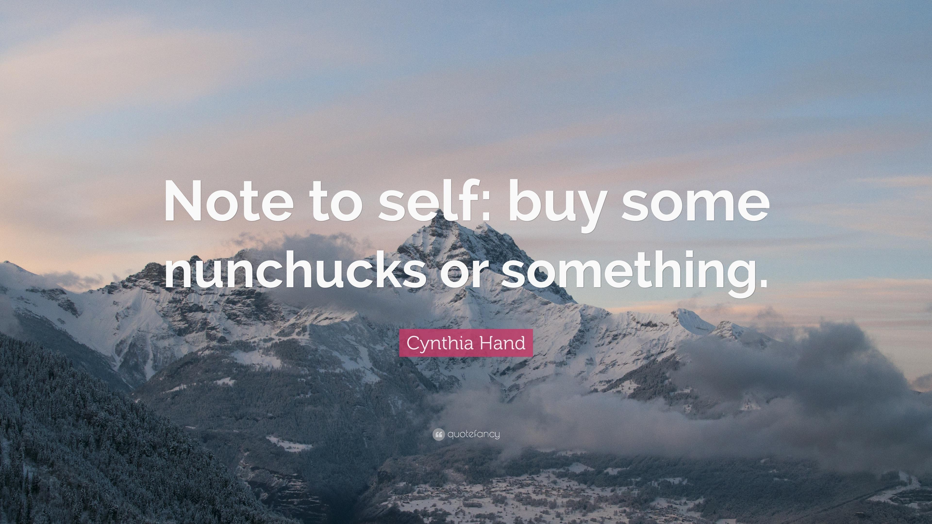 Cynthia Hand Quote: “Note to self: buy some nunchucks or