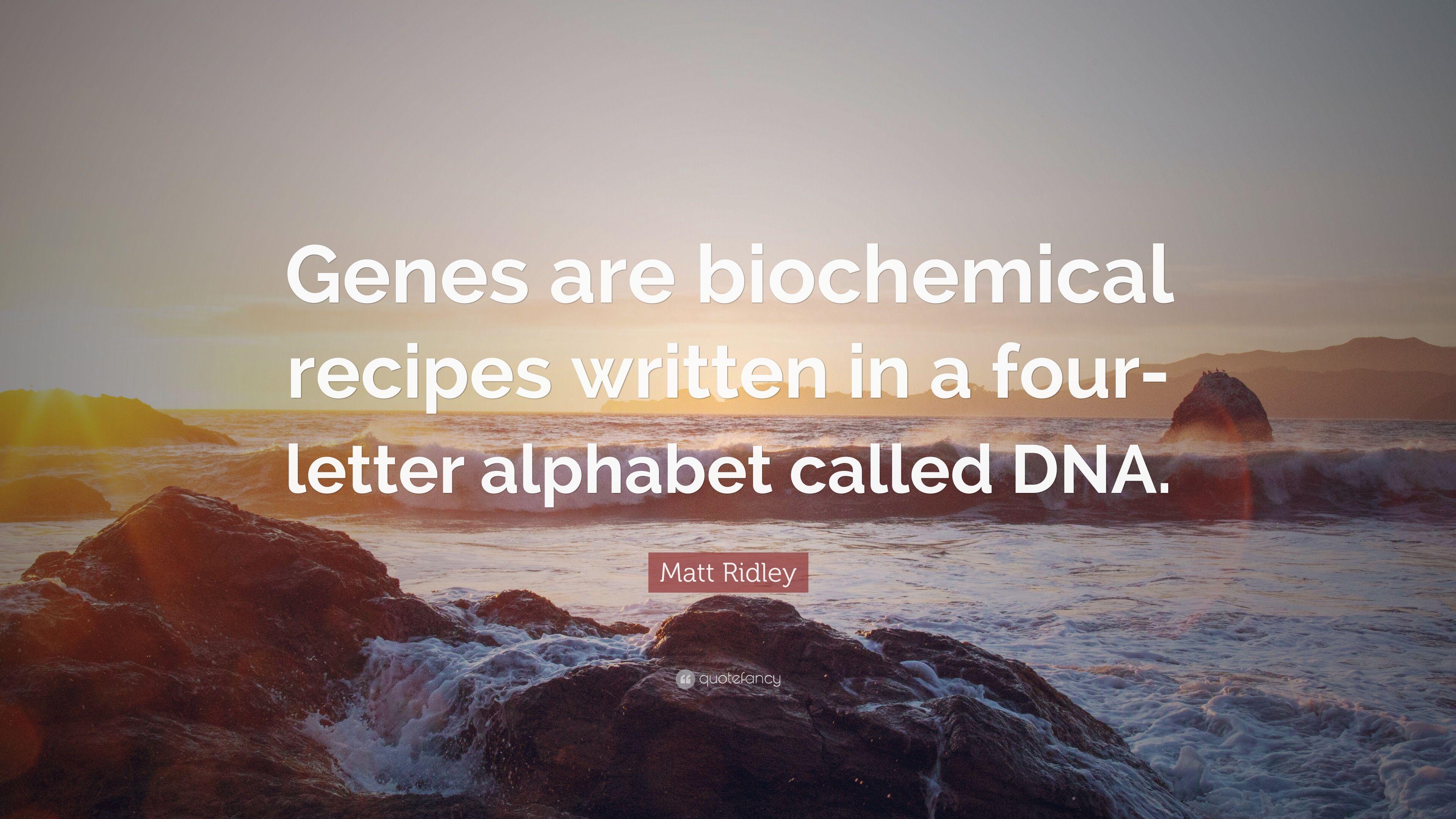 Matt Ridley Quote: “Genes are biochemical recipes written