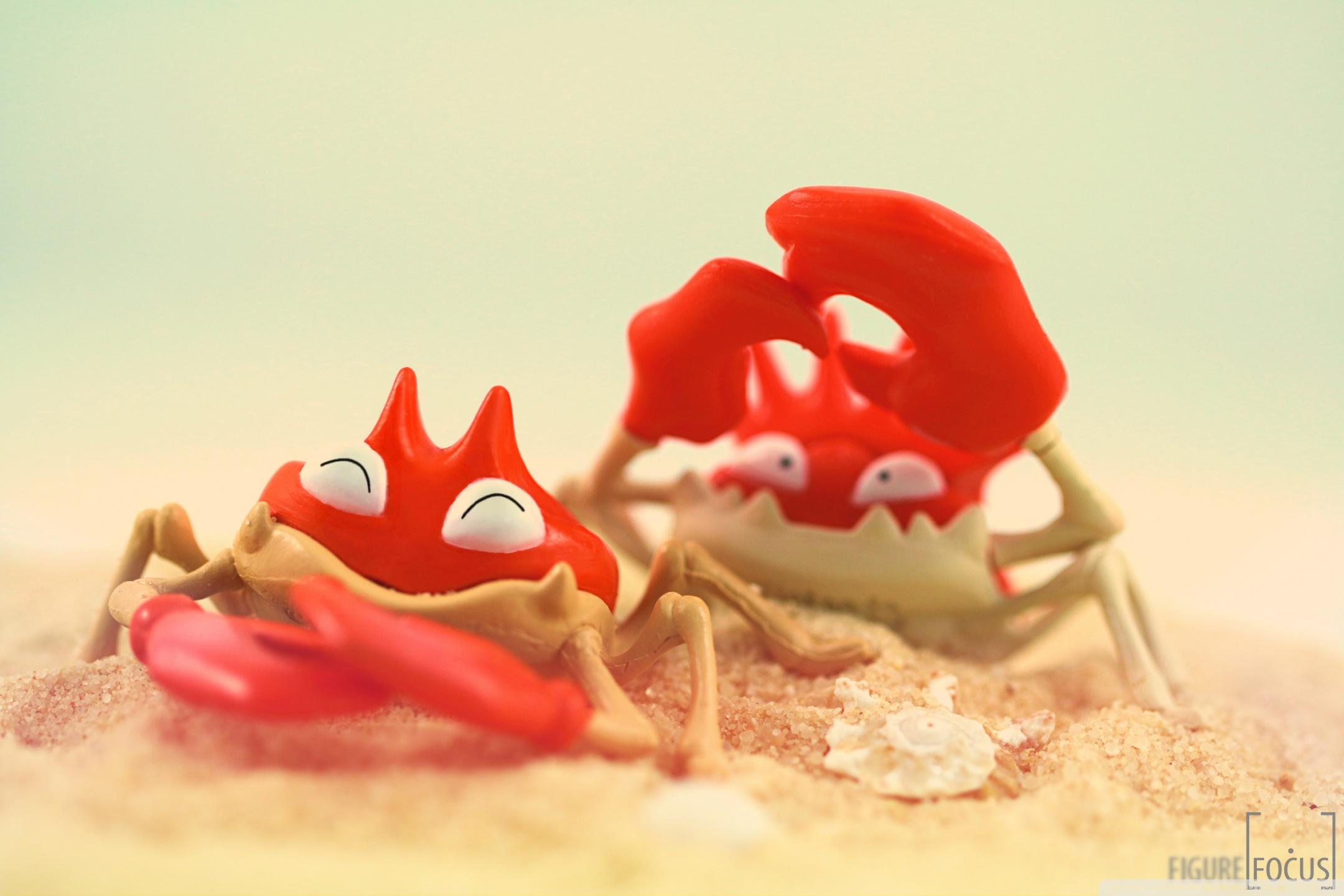 Funny Crabs ❤ 4K HD Desktop Wallpaper for 4K Ultra HD TV