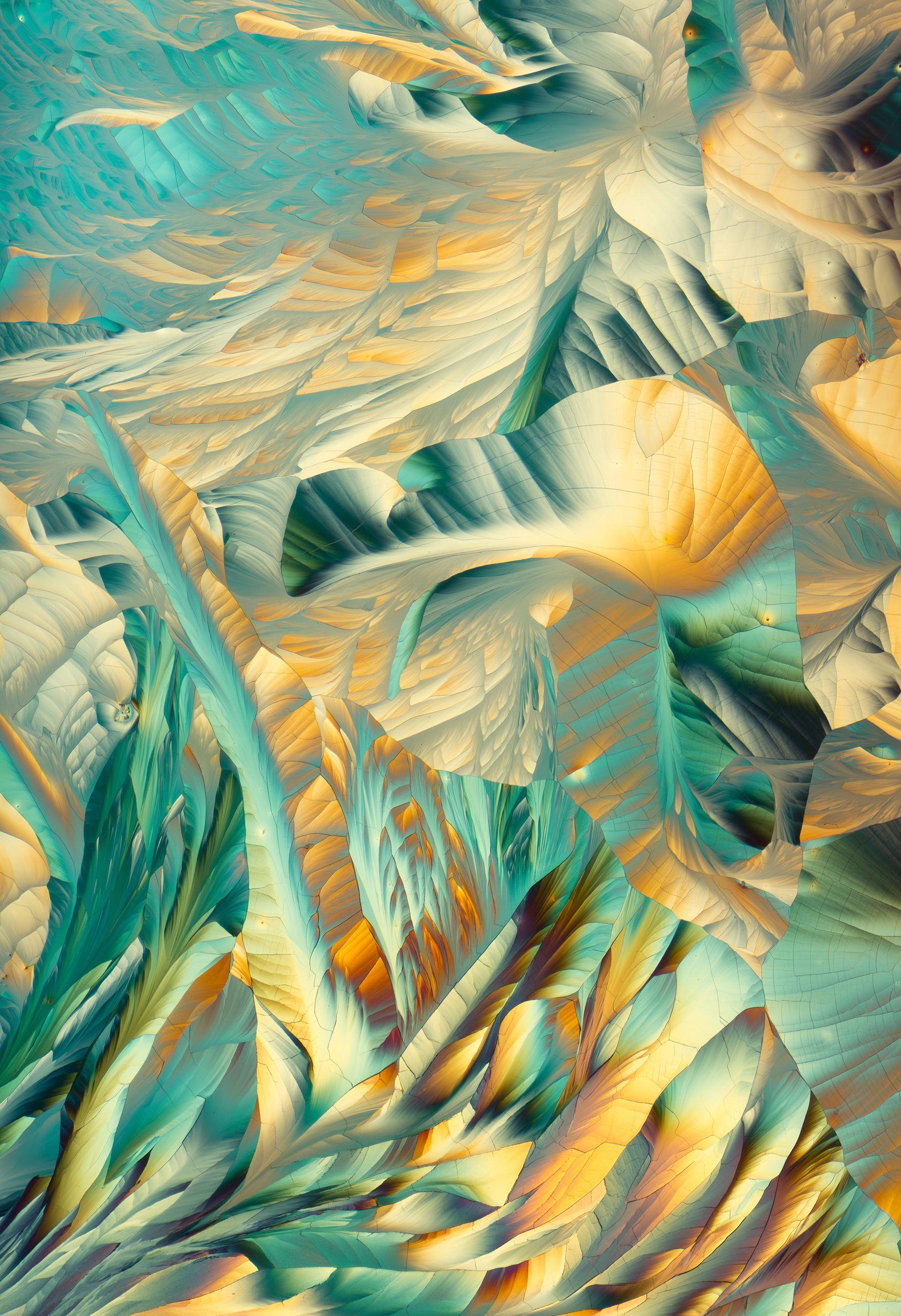 L Glutamine and Beta Alanine; Crystallized Amino Acids