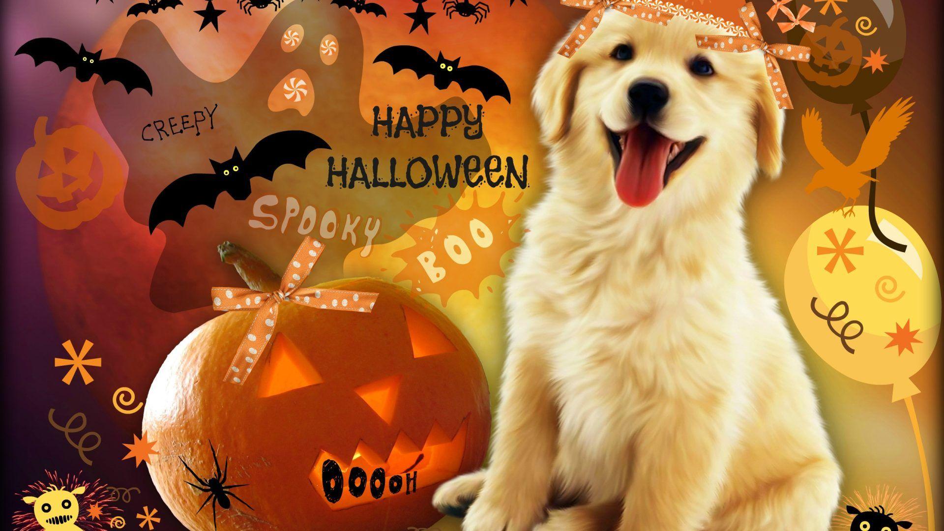 Halloween Dog Wallpaper Free Halloween Dog