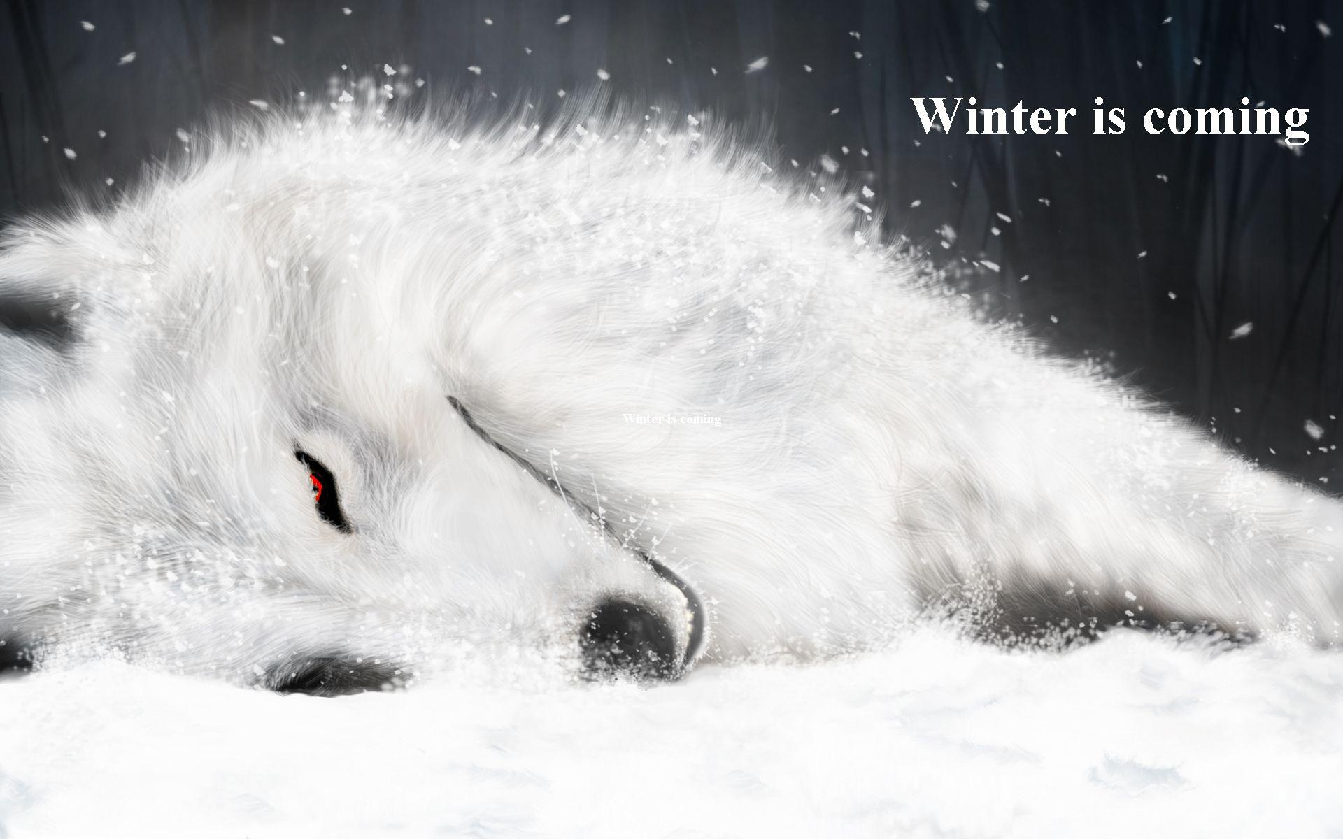 Winter Is Coming Wallpaper