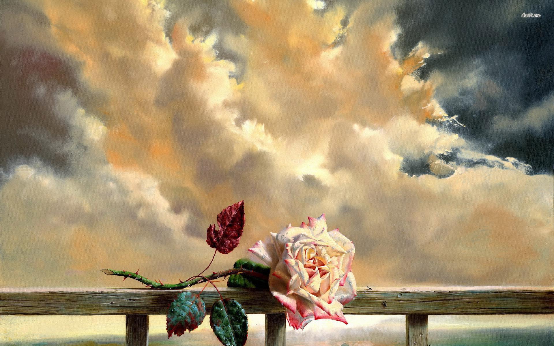 Rose on a fence wallpaper wallpaper