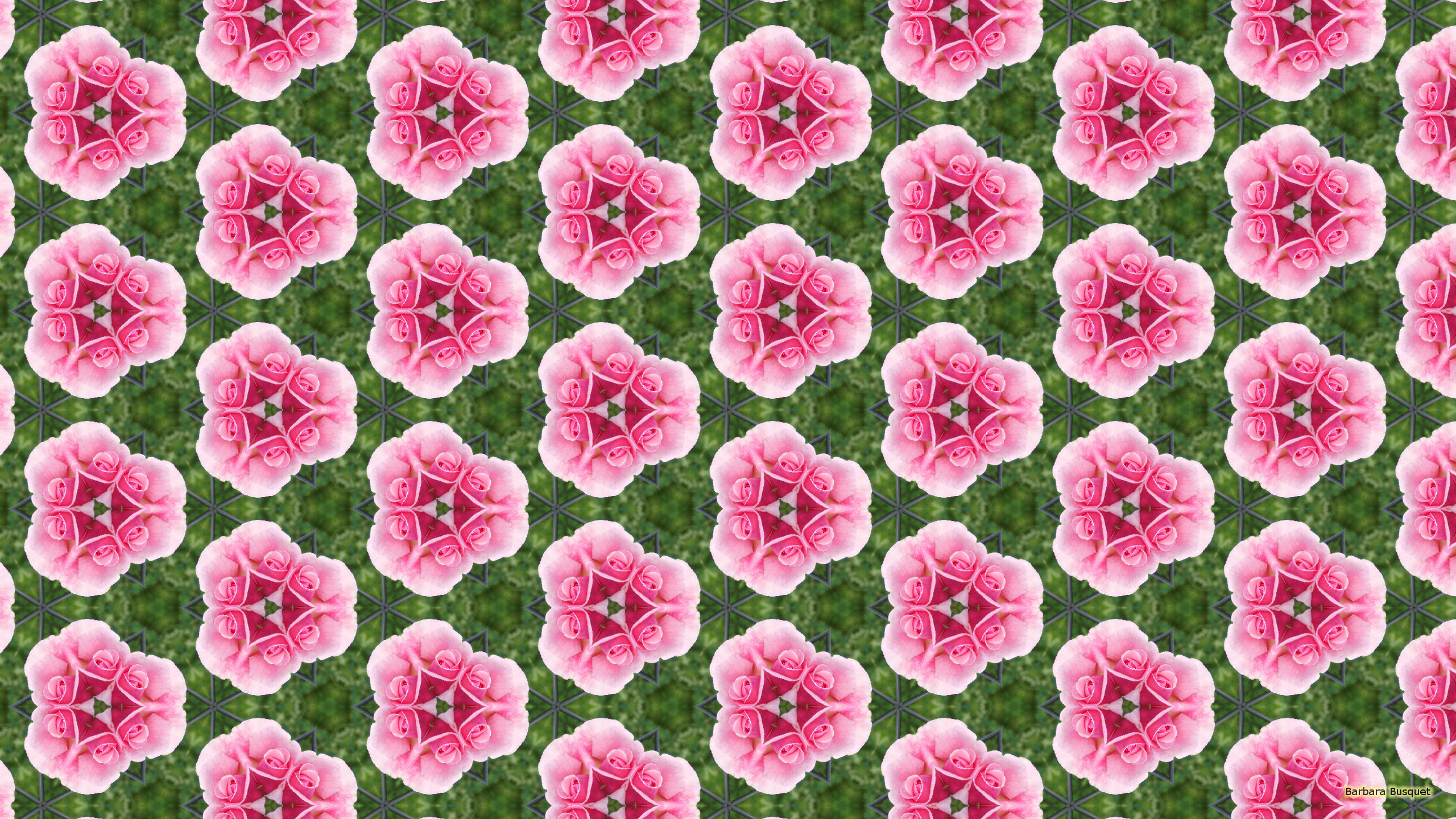 Pink rose and wire mesh fence. Barbaras HD Wallpaper