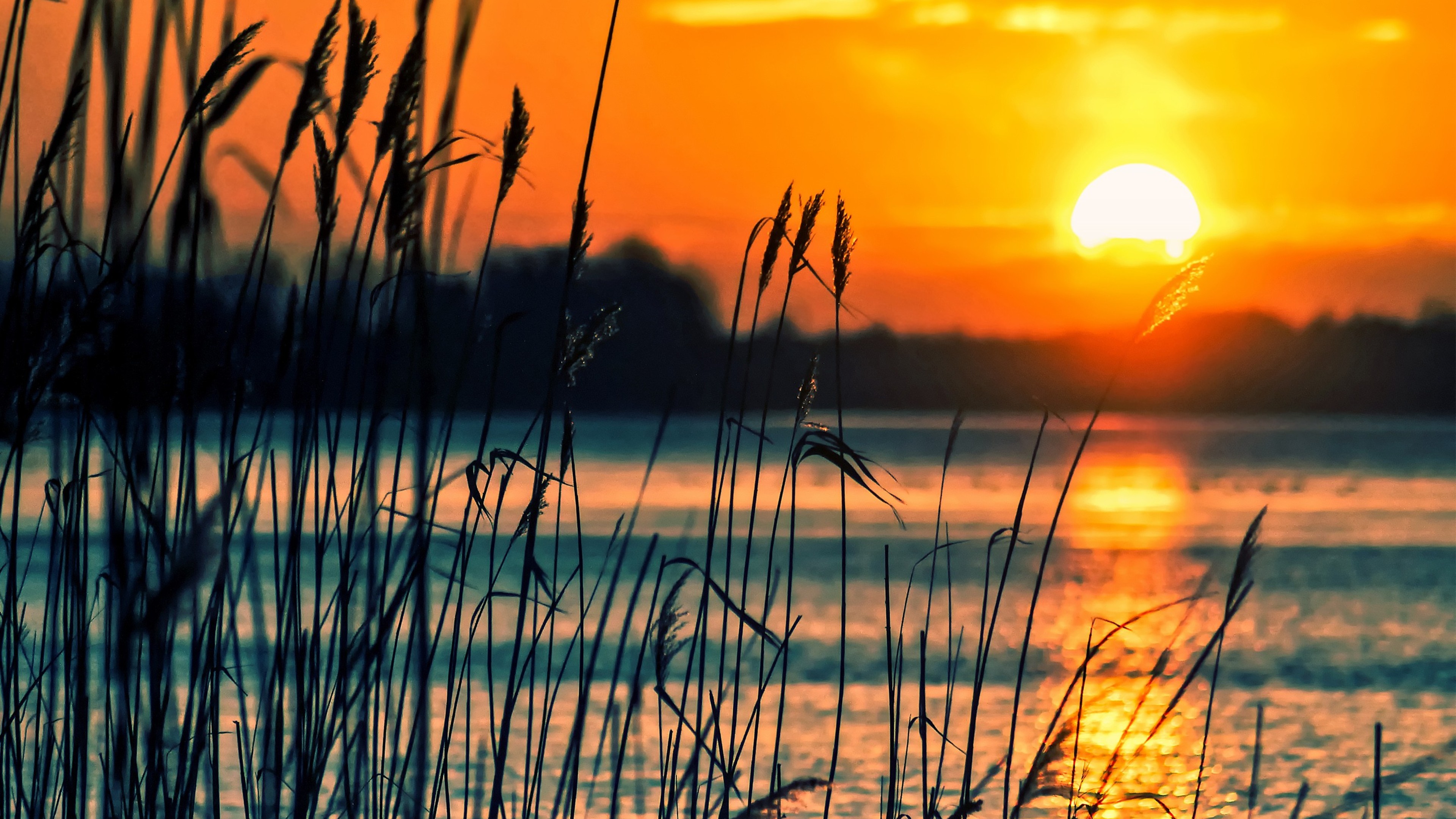 Crops Sunset Lake, HD Nature, 4k Wallpaper, Image