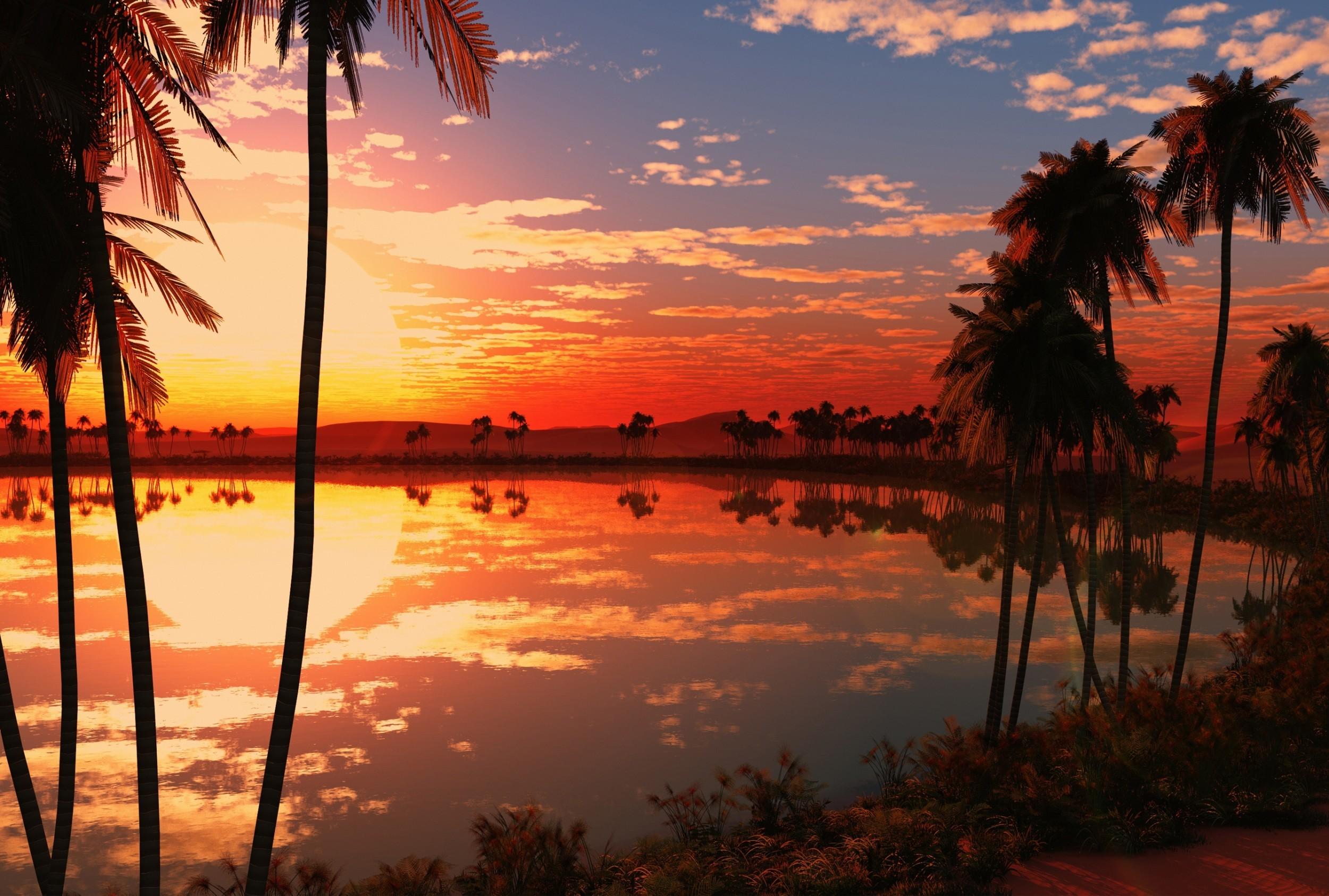 Download 2500x1686 Sunset, Lake, Tree Wallpaper
