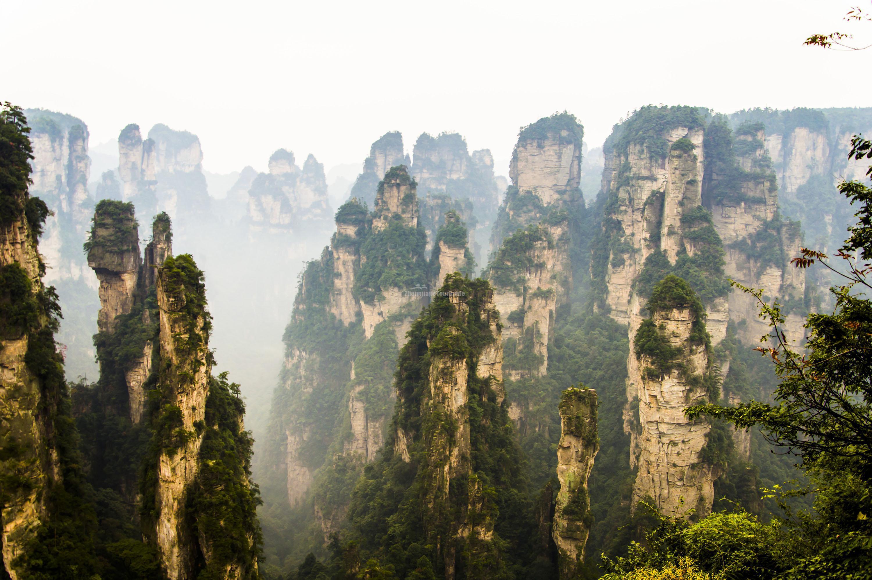 Zhangjiajie National Forest Park (China) Wallpaper Image