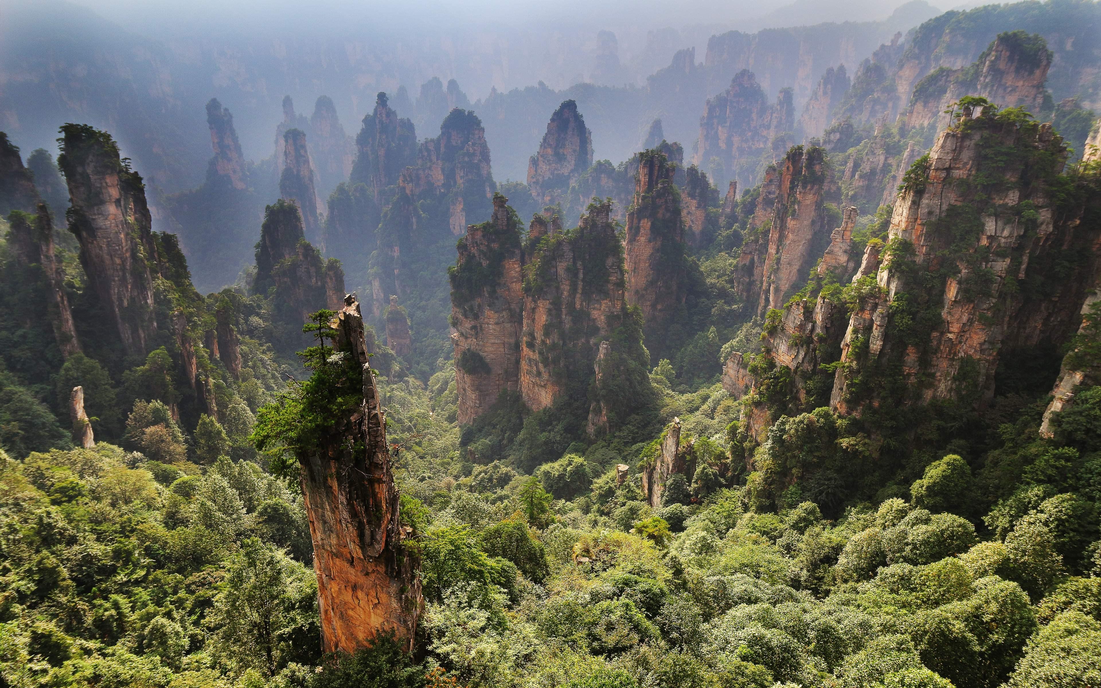 Zhangjiajie National Park Wallpaper 8 X 2400