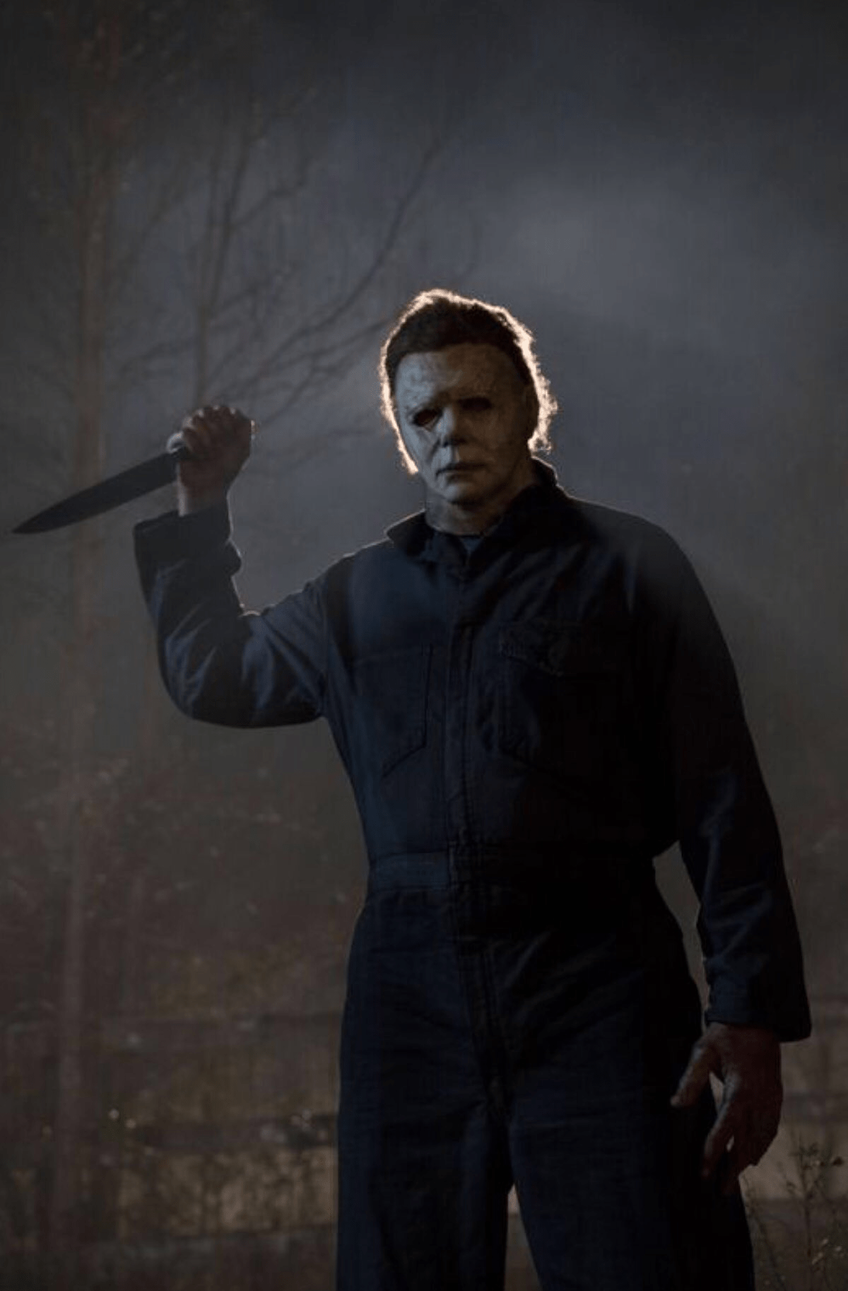 Michael Myers, Halloween Film, Halloween Image, Halloween