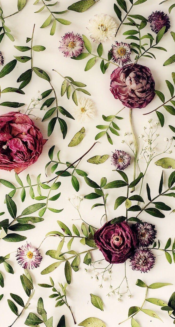 Floral iPhone wallpaper background. wallpaper. Floral