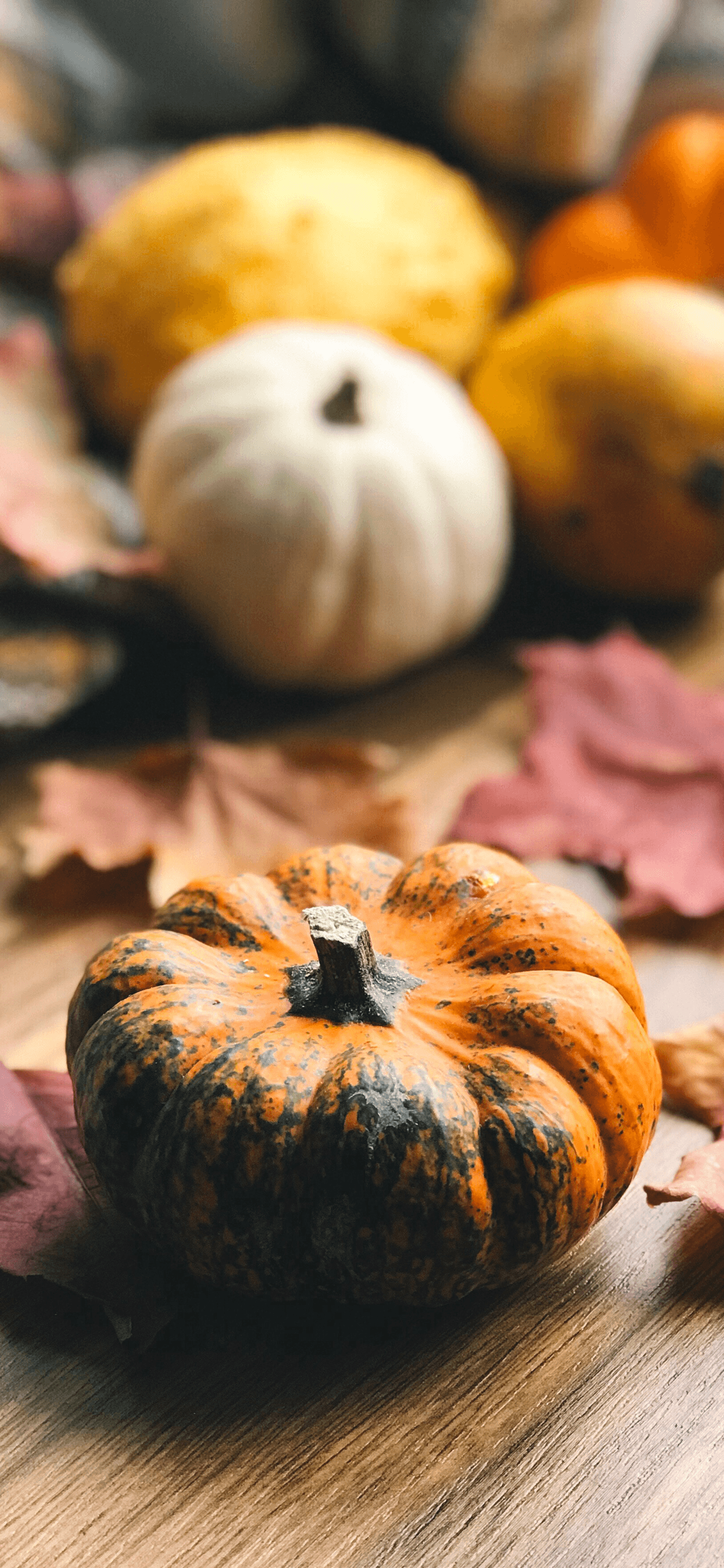 Fall scenes and Thanksgiving iPhone wallpapers