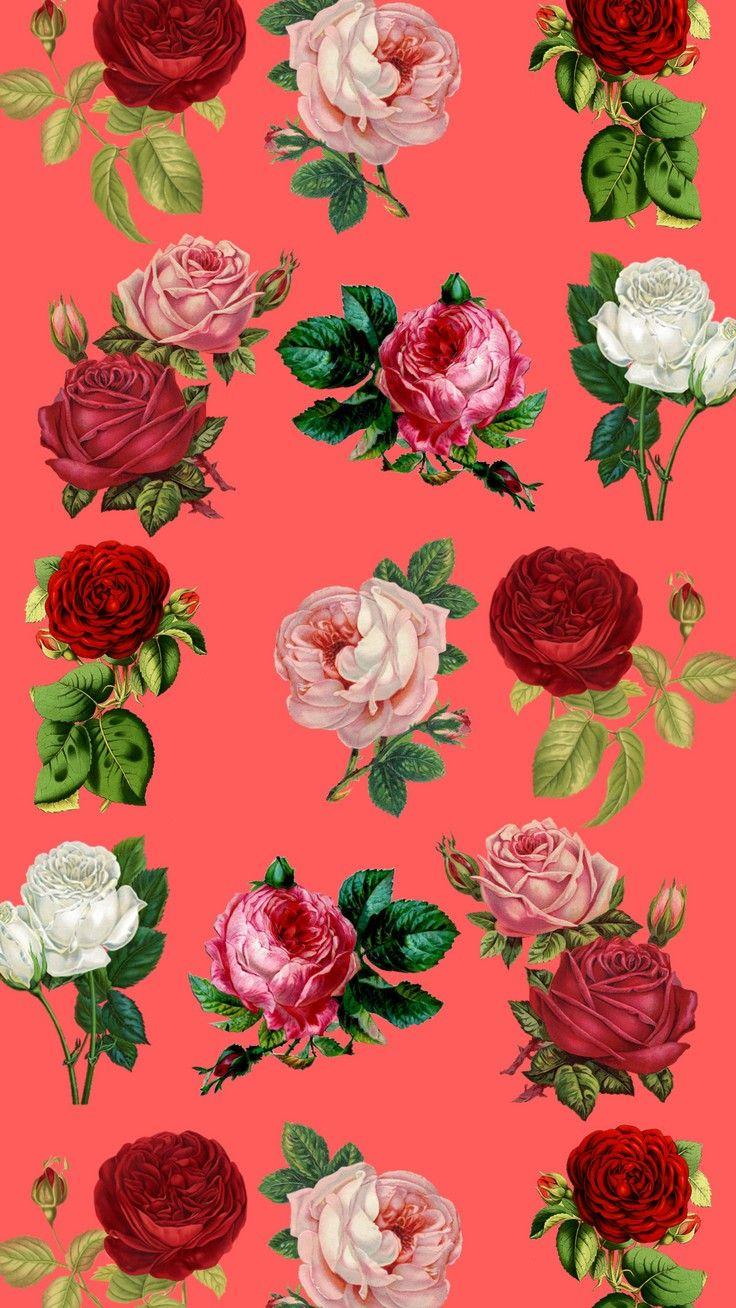 Supreme flowers wallpaper