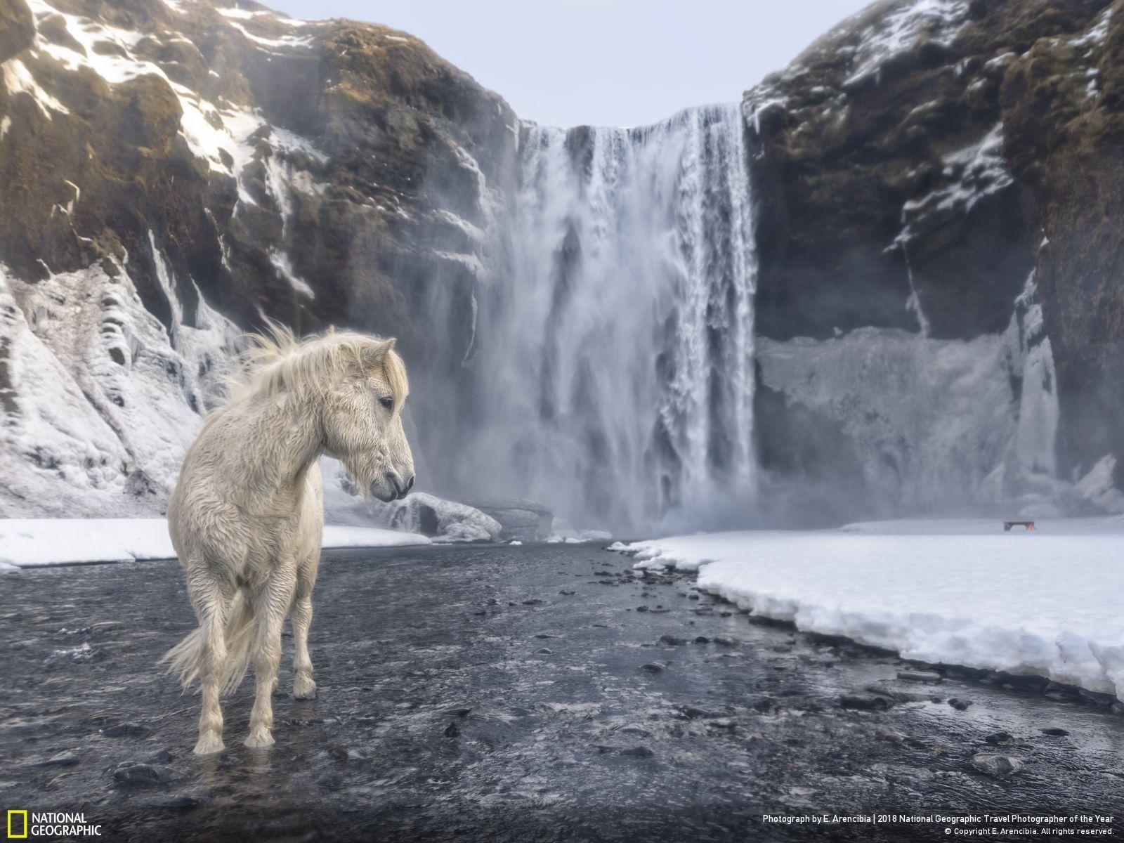 People's Choice. National Geographic Travel Photographer