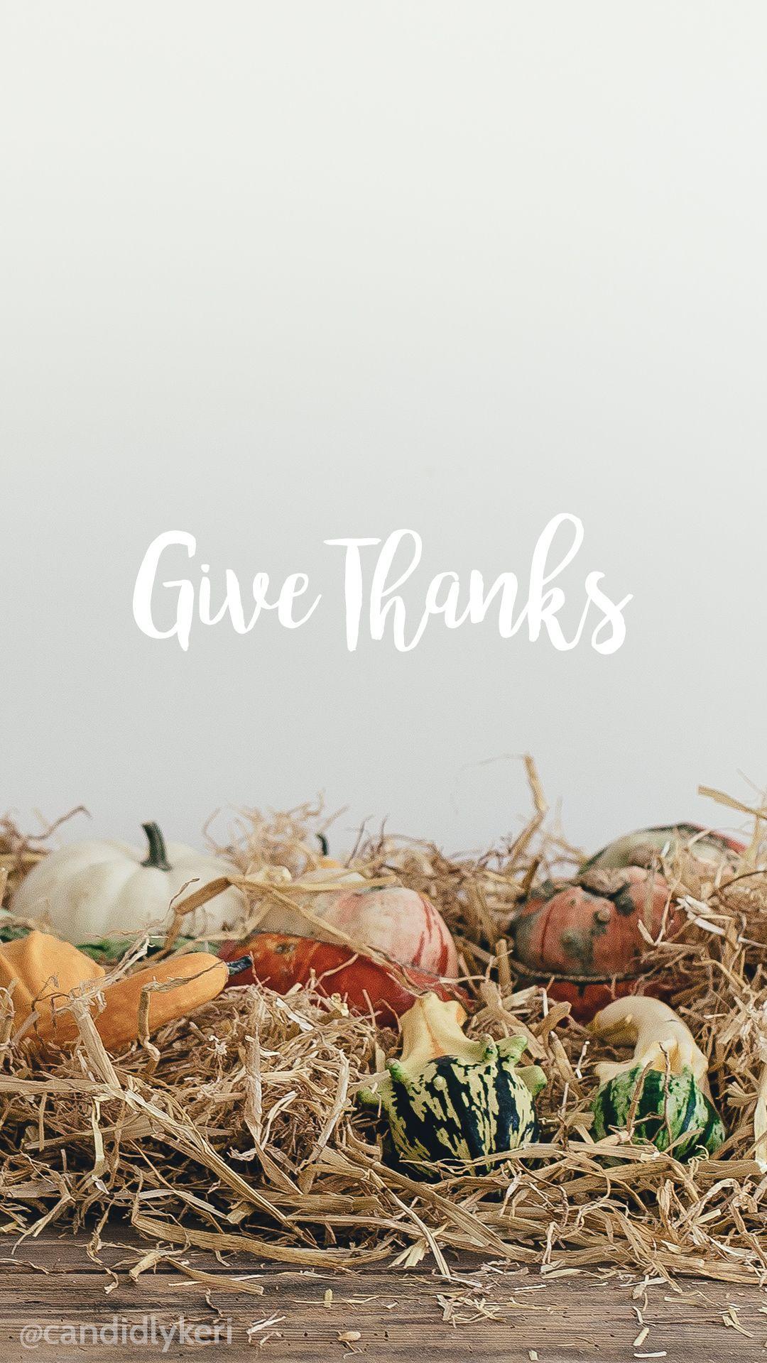 Give Thanks Thanksgiving gords pumpkins set up background