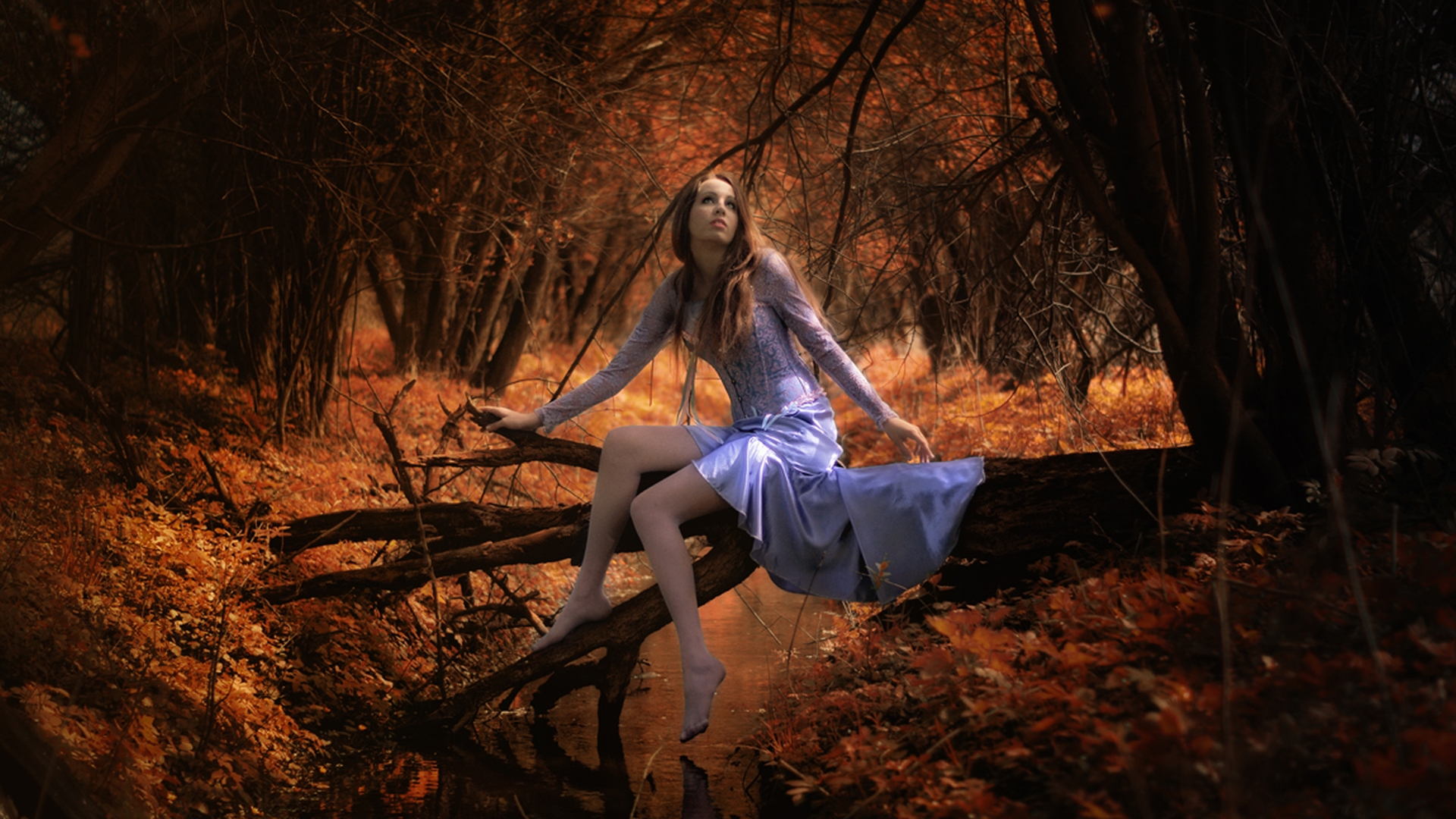 Girl in autumn forest wallpaper and image