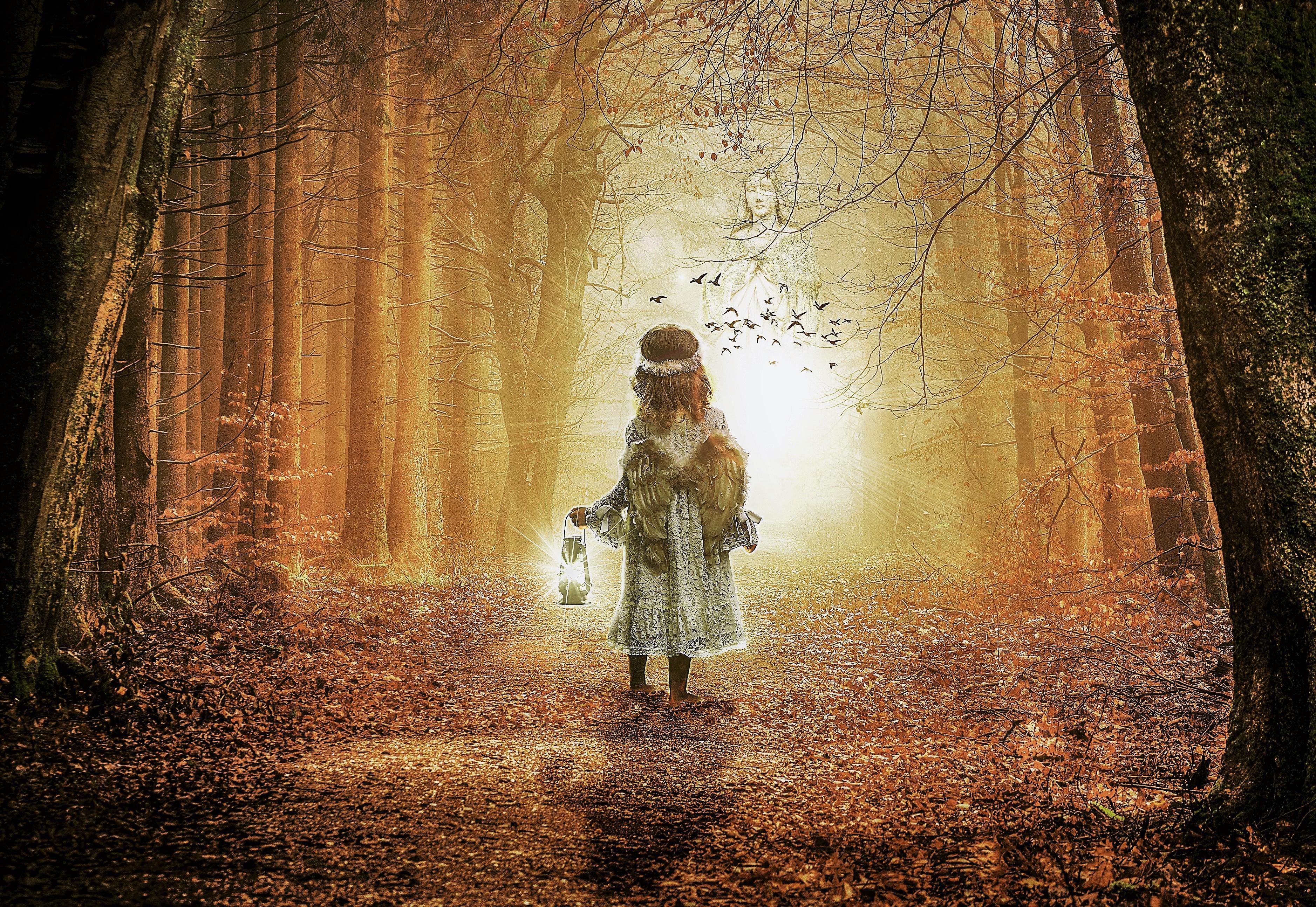 Little Angel in Autumn Forest HD Wallpaper