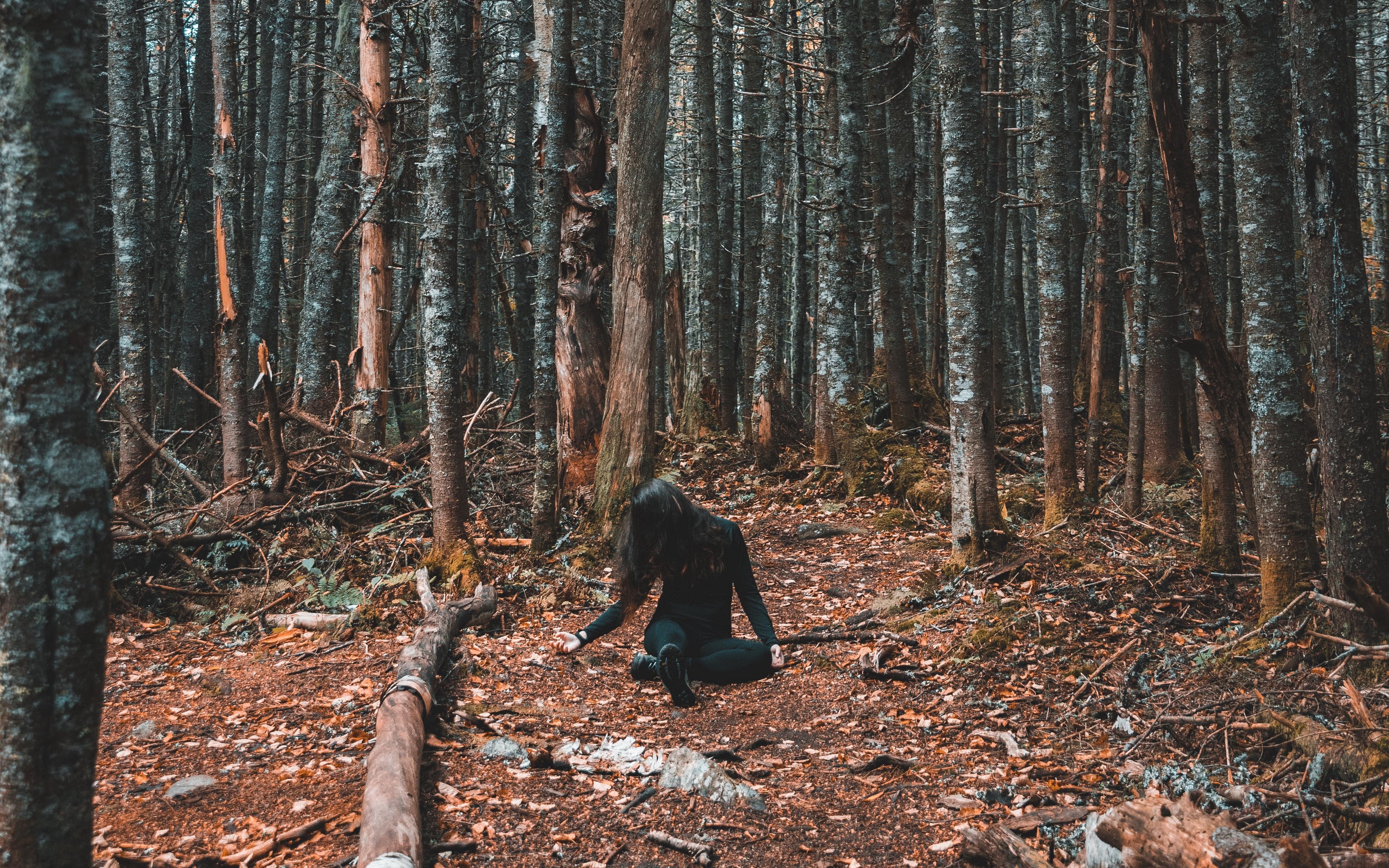 Download wallpaper 3840x2400 forest, girl, loneliness, trees