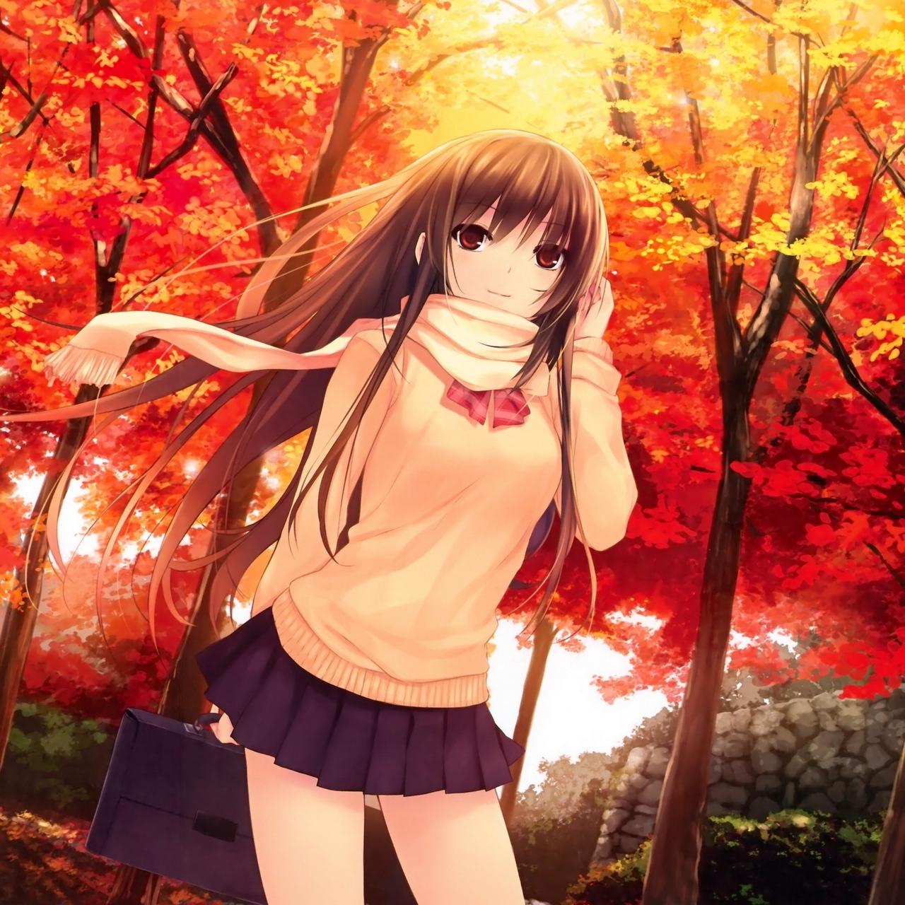 Download wallpaper 1280x1280 girl, autumn, forest