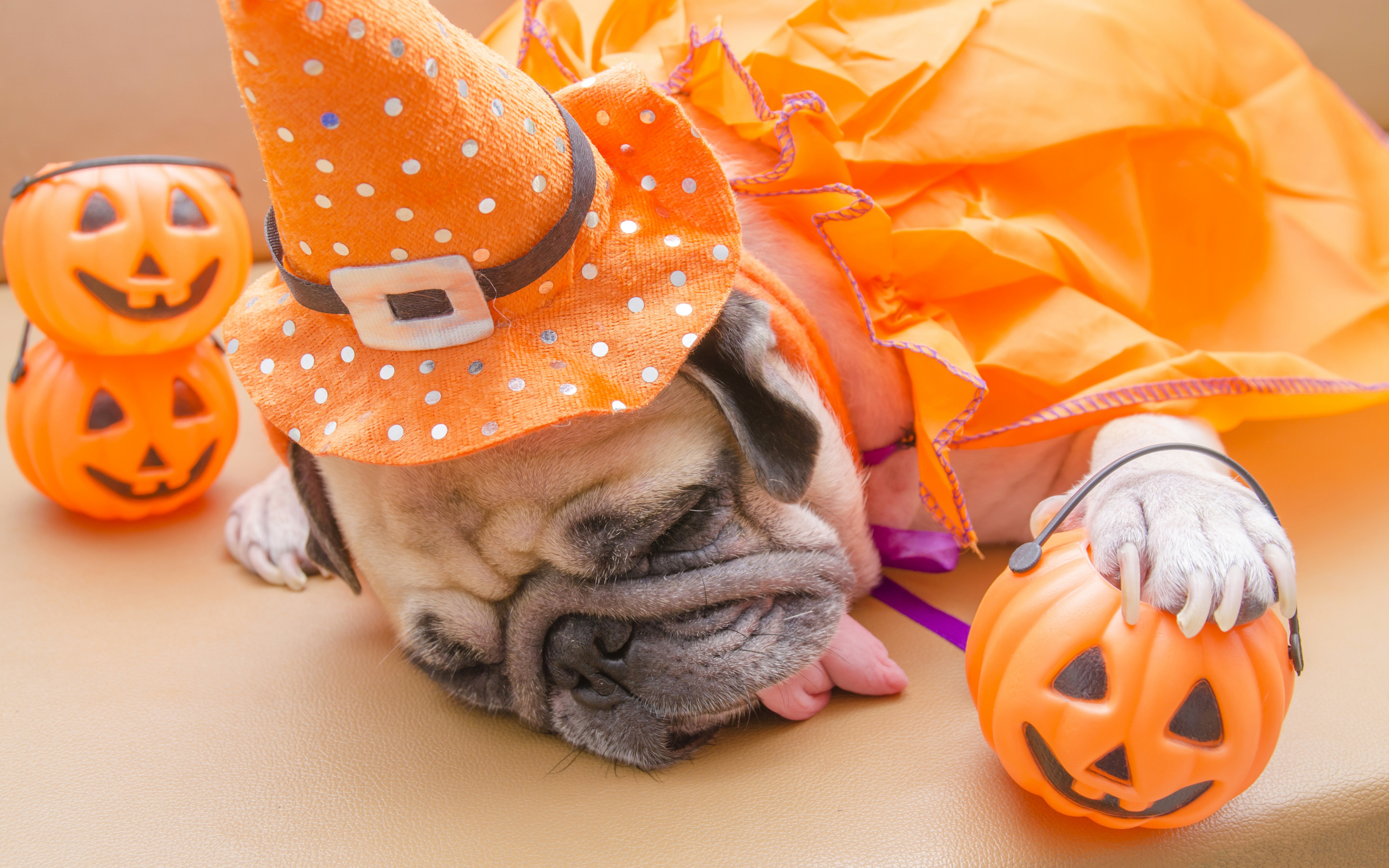 Download wallpaper Pug, Halloween, sleeping dog, tired puppy, cute animals, puppies, dogs, October pumpkins for desktop with resolution 2880x1800. High Quality HD picture wallpaper