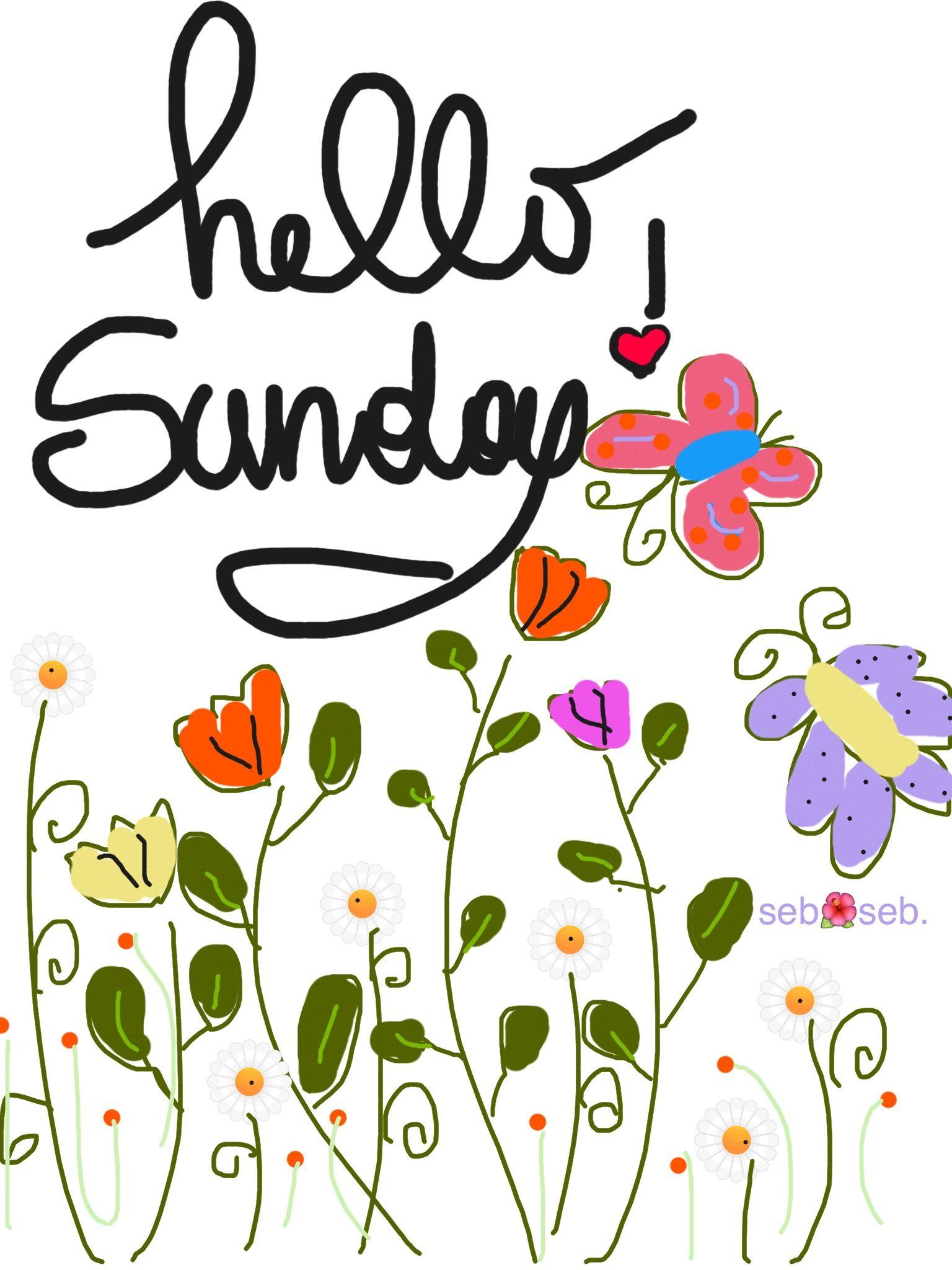Hello Sunday ! ❤️. Greetings & More!. Sunday quotes