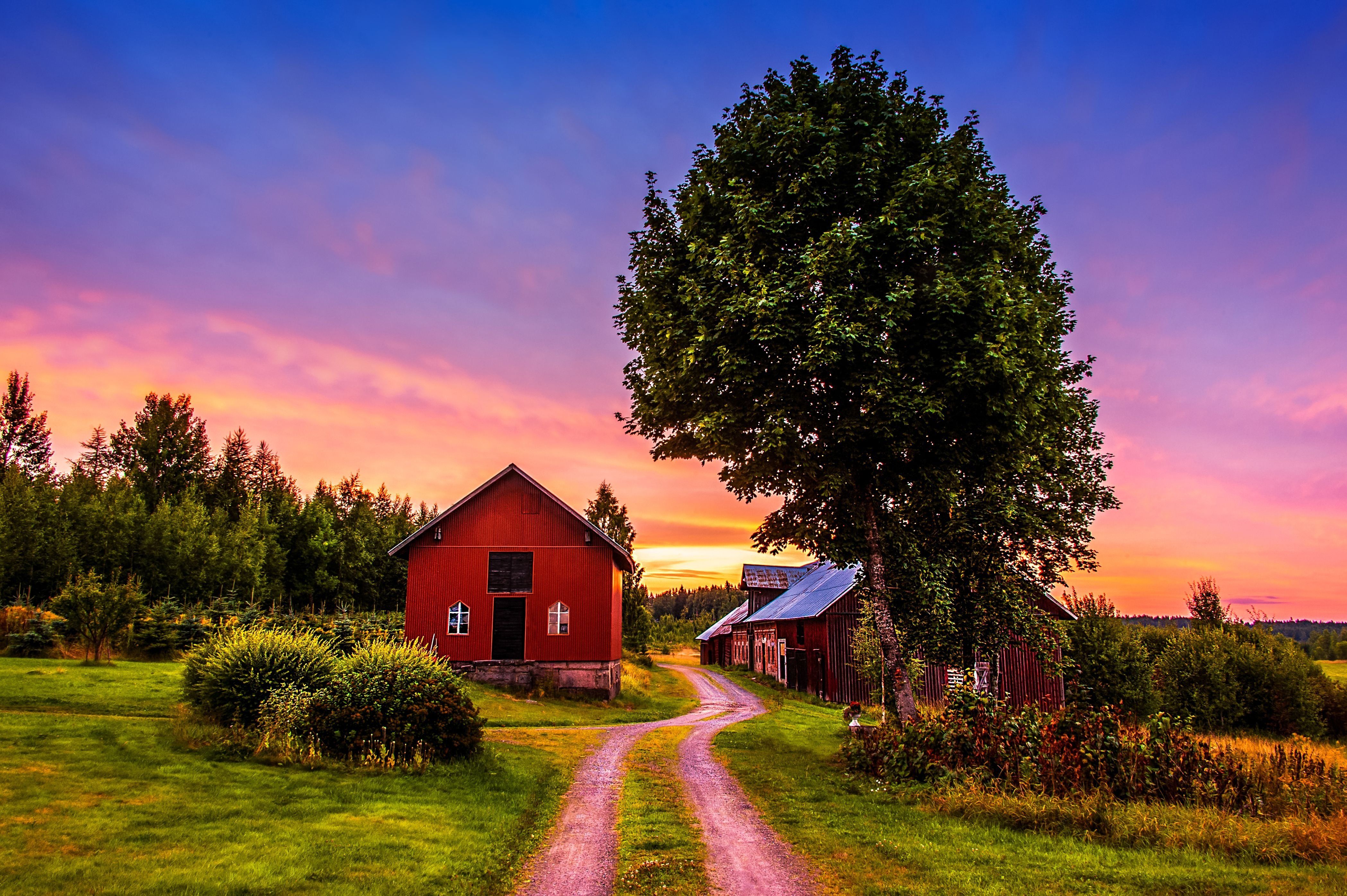 Landscaping: sunset trees road home landscape rustic farm