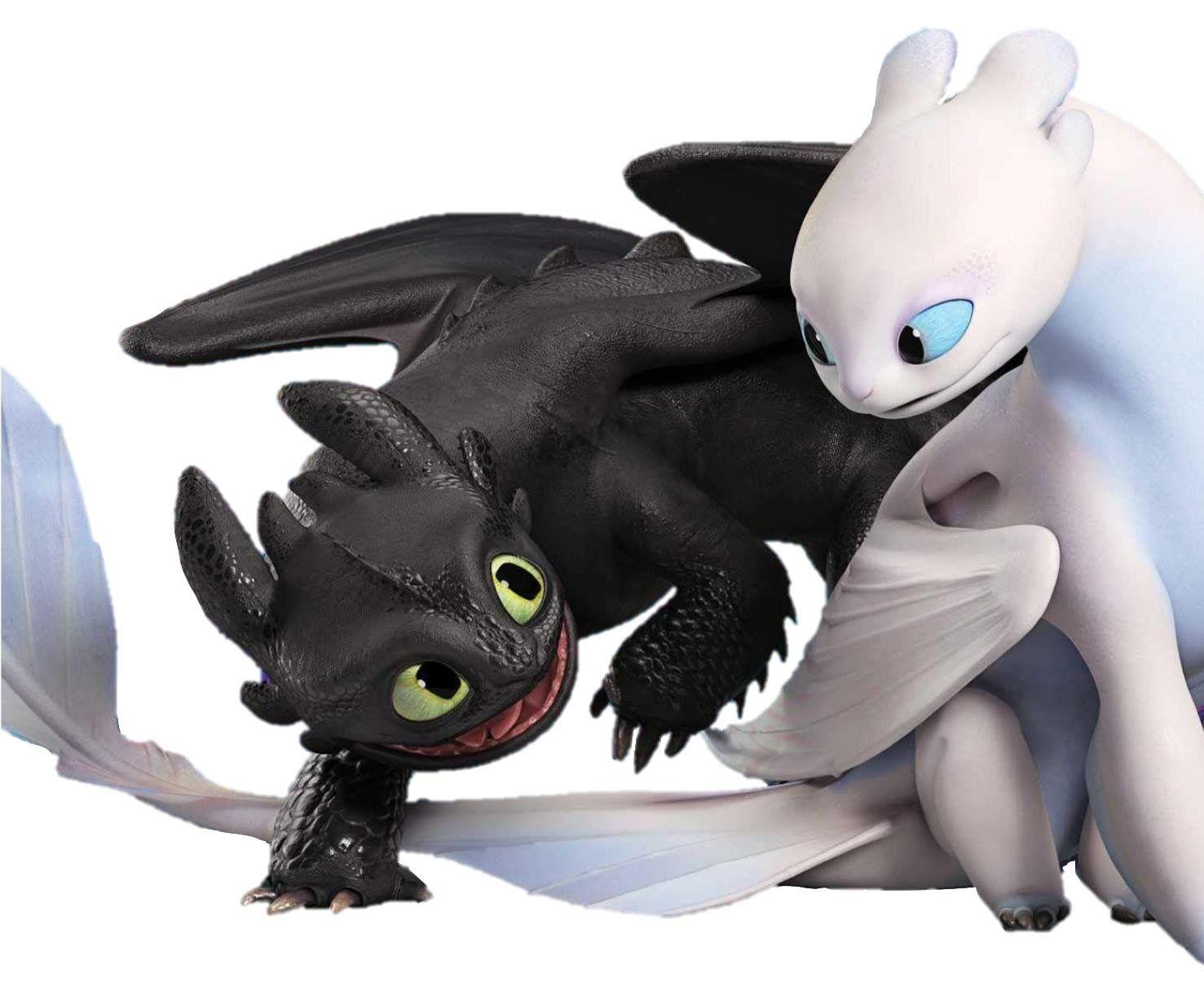 Httyd Hidden World Toothless and Light Fury