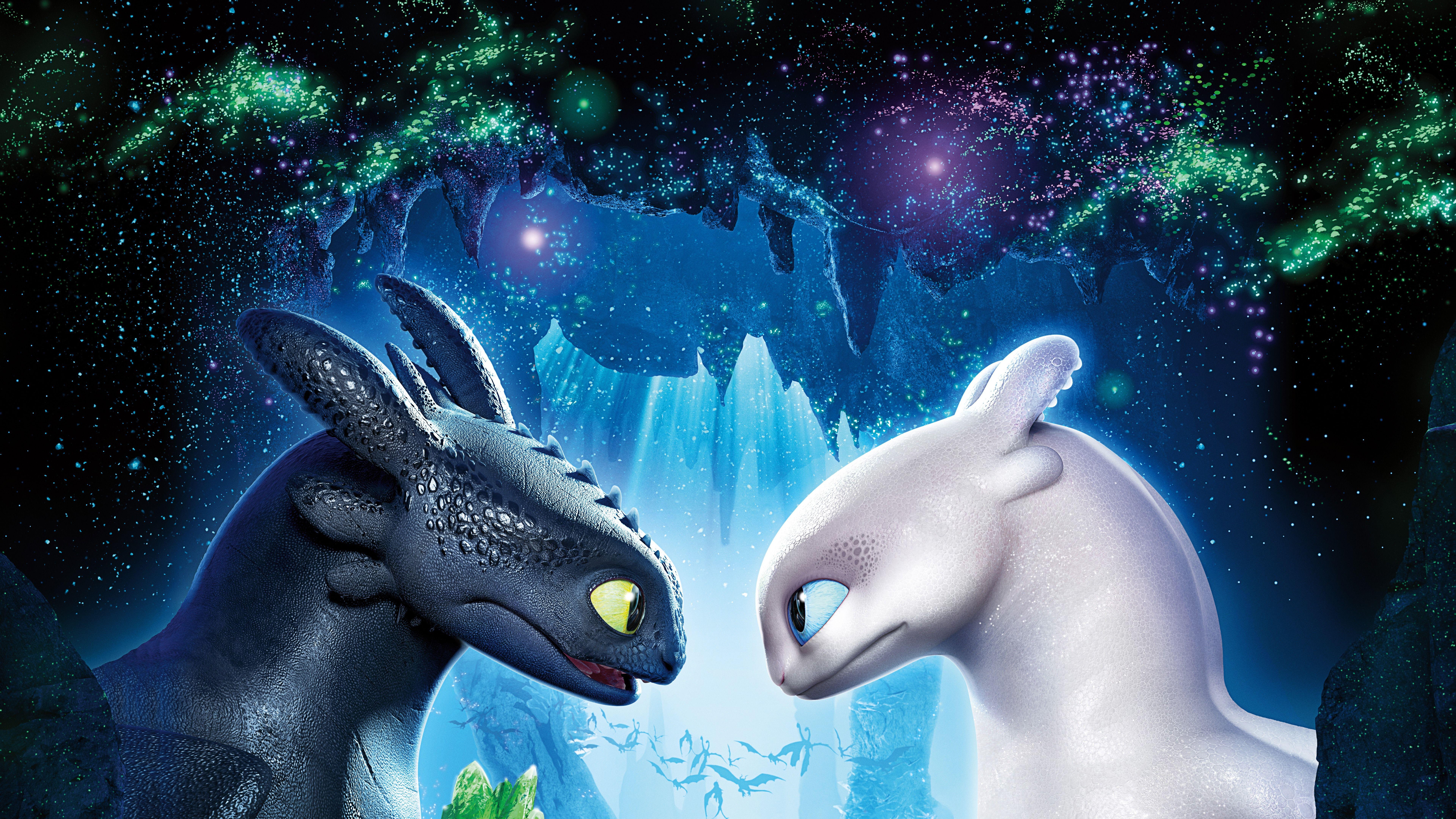 How to Train Your Dragon: The Hidden World Toothless Night