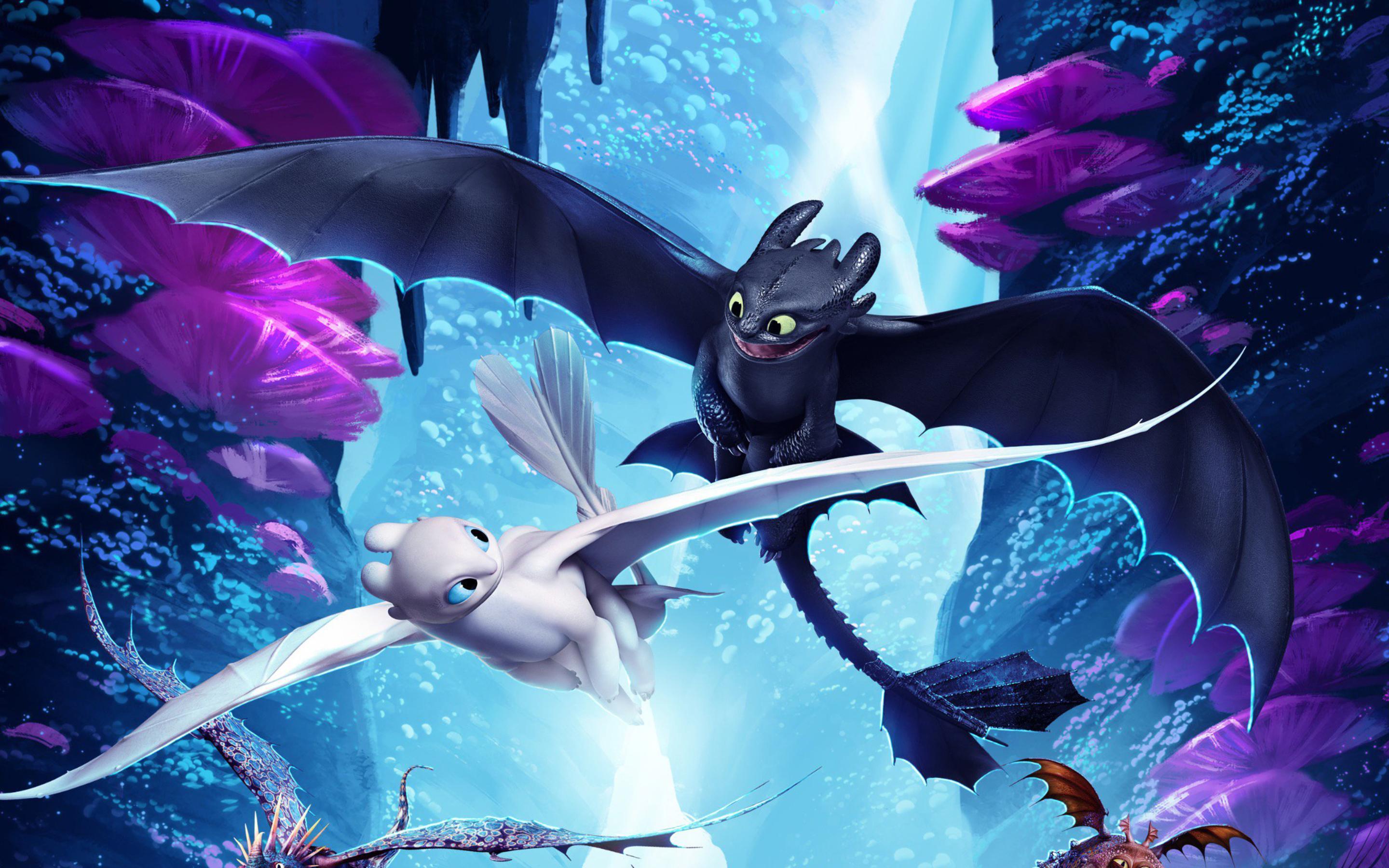 How To Train Your Dragon The Hidden World Night