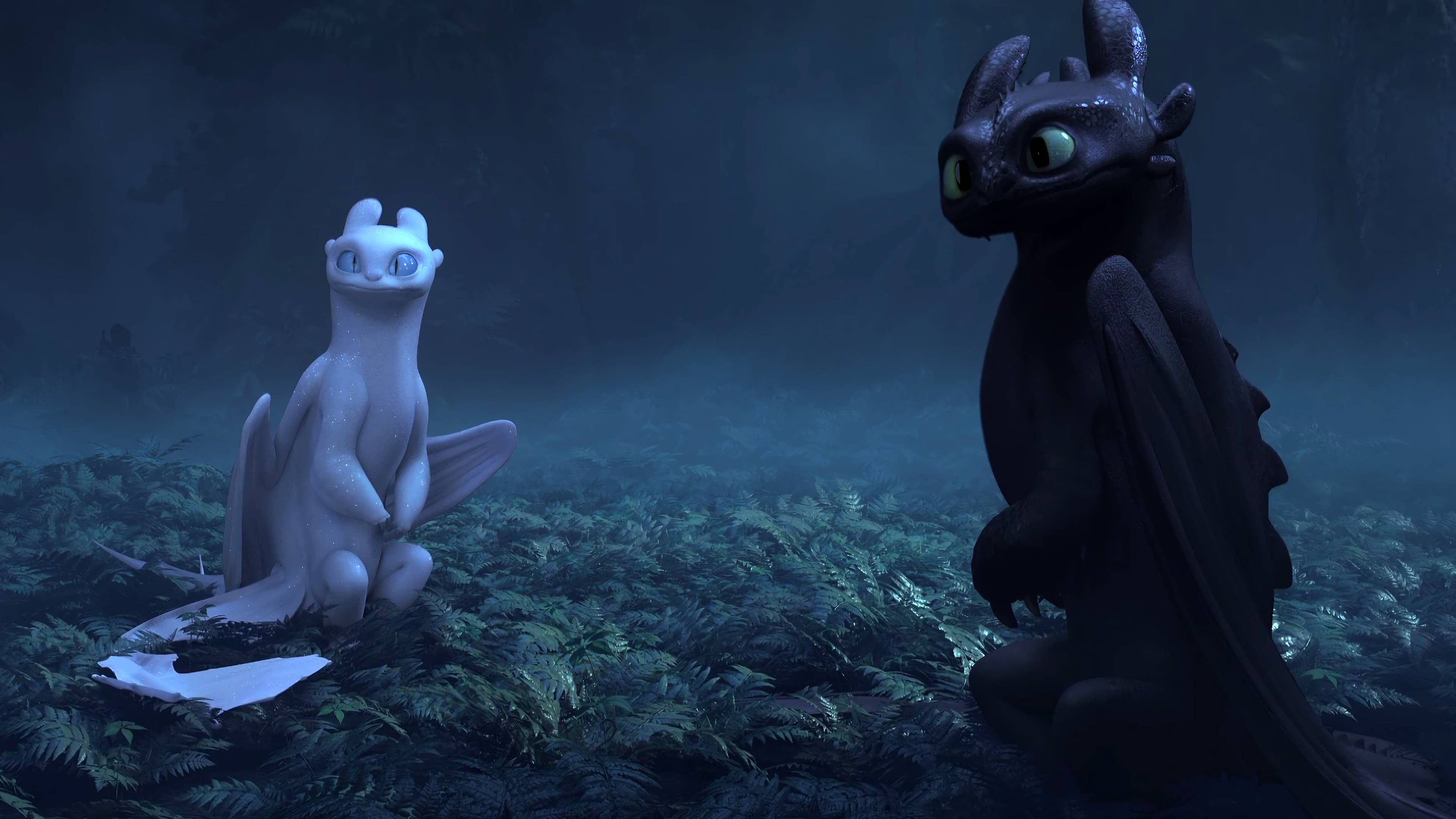 How to Train Your Dragon: The Hidden World Toothless Night