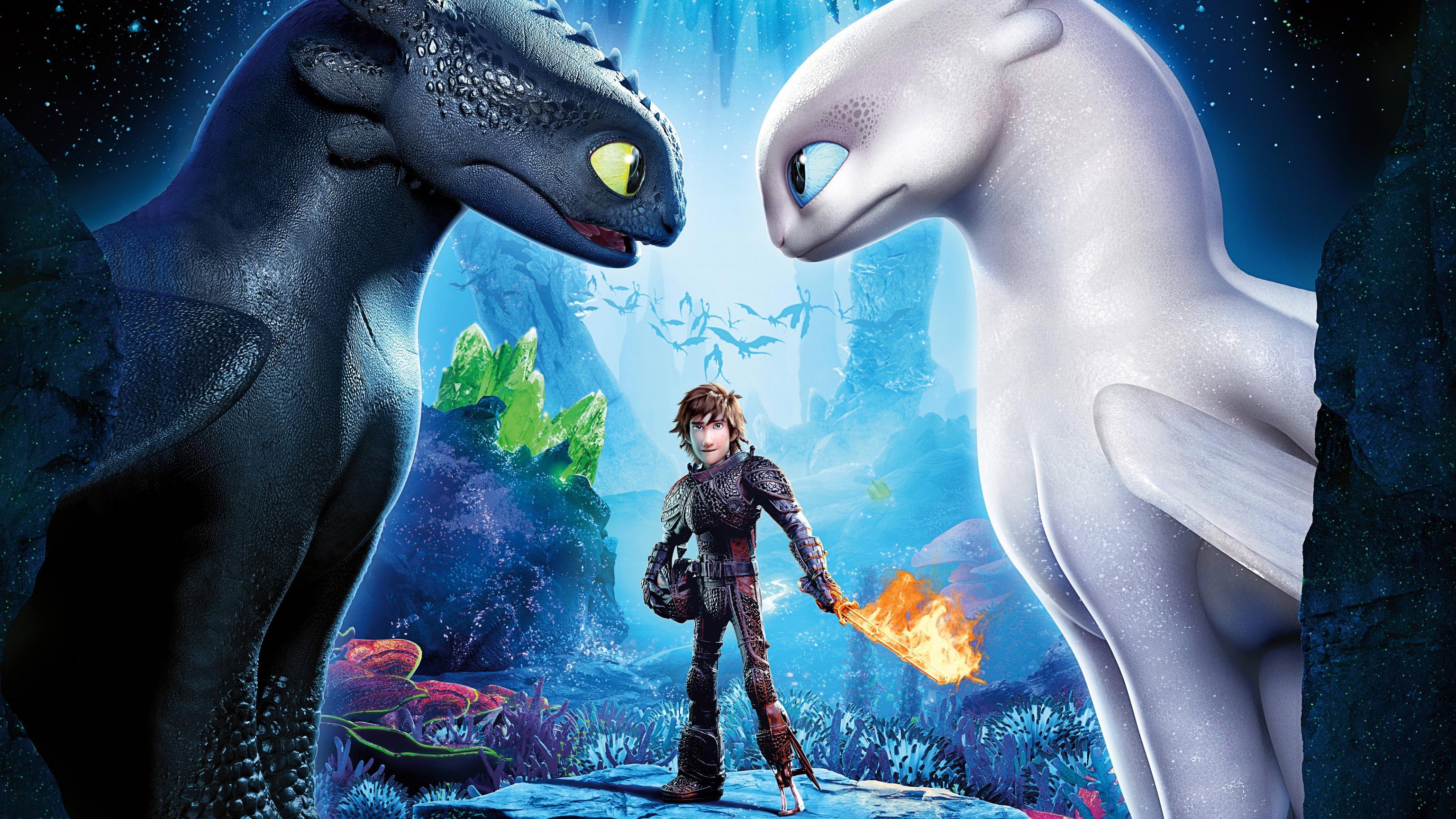 How to Train Your Dragon: The Hidden World Hiccup Toothless